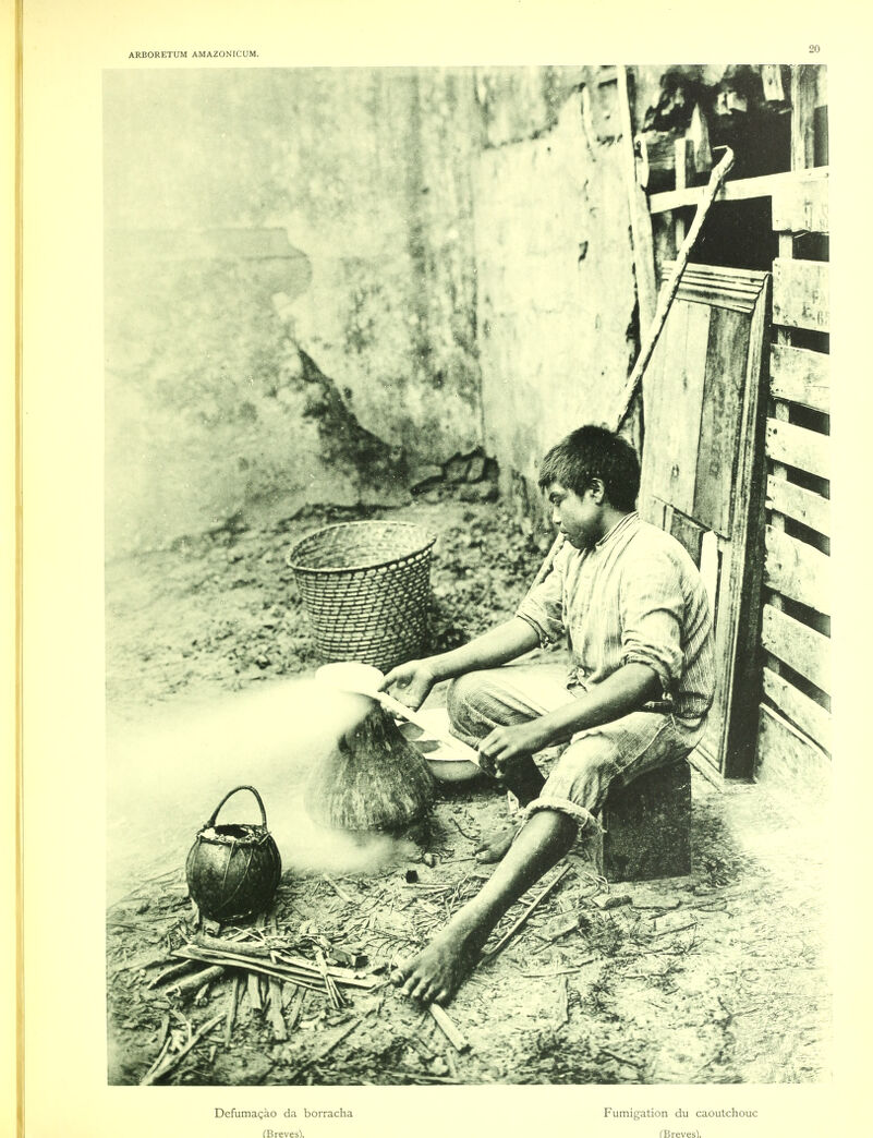 Defumagao da borracha (Breves). Fumigation du caoutchouc (Breves).