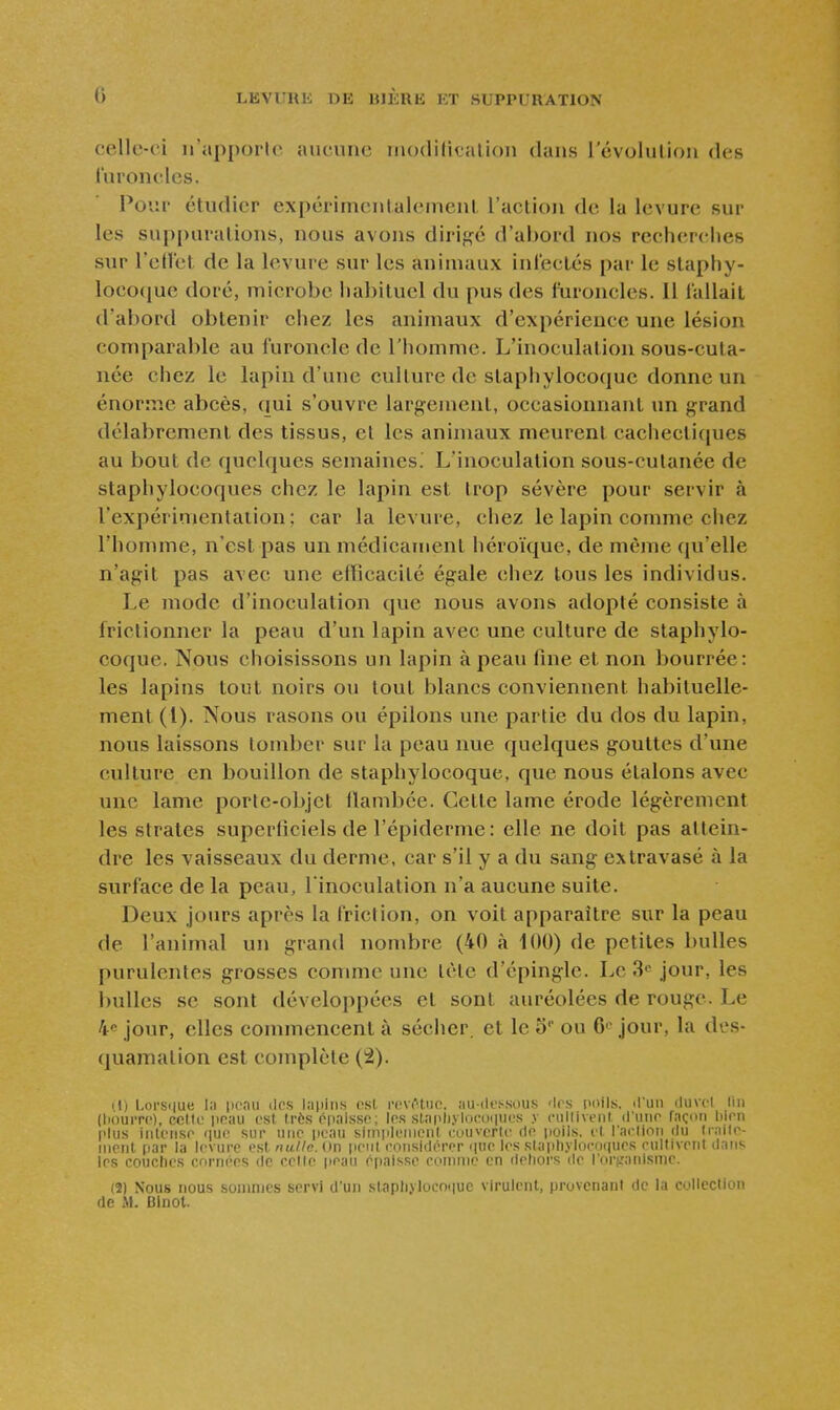 celle-ci n'apporlc aucune niodilitalion dans révolution des l'uroncles. Pour étudier expérimentalement l'action de la levure sur les suppuralions, nous avons dirif^é d'abord nos recherches sur l'edet de la levure sur les animaux infectés par le staphy- loco(iue doré, microbe habituel du pus des liirondes. il fallait d'abord obtenir chez les animaux d'expérience une lésion comparable au furoncle de l'homme. L'inoculation sous-cuta- née chez le lapin d'une culture de staphylocoque donne un énorme abcès, (lui s'ouvre largement, occasionnant un grand délabrement des tissus, et les animaux meurent cacheclifjues au bout de quelques semaines.' L'inoculation sous-culanée de staphylocoques chez le lapin est Irop sévère pour servir à l'expérimentaiion; car la levure, chez le lapin comme chez l'homme, n'est pas un médicament héroïque, de même qu'elle n'agit pas avec une efficacité égale chez tous les individus. Le mode d'inoculation que nous avons adopté consiste à frictionner la peau d'un lapin avec une culture de staphylo- coque. Nous choisissons un lapin à peau fine et non bourrée: les lapins tout noirs ou tout blancs conviennent habituelle- ment (1). Nous rasons ou épiions une partie du dos du lapin, nous laissons tomber sur la peau nue quelques gouttes d'une culture en bouillon de staphylocoque, que nous étalons avec une lame porle-objct flambée. Cette lame érode légèrement les strates superficiels de l'épiderme : elle ne doit pas attein- dre les vaisseaux du derme, car s'il y a du sang extravasé à la surface de la peau, l inoculation n'a aucune suite. Deux jours après la friction, on voit apparaître sur la peau de l'animal un grand nombre (40 à 100) de petites bulles purulentes grosses conmic une tète d'épingle. Le 3 jour, les bulles se sont développées et sont auréolées de rouge. Le 4e jour, elles commencent à sécher, et le 5' ou G jour, la des- (juamation est complète (â). (1) Loi'Si|ue la ppau des laiiitis est revi^tuc. au-tlc-isous '1rs poils, d'un duvel lin (tiouiTf), cette peau est très (épaisse; les slapi).vloe()i|ues y nillivent d'une façon bien plus intense (|ue sur une peau siinideMienl euuverle de jioils. et l'aelion du tialte- nienl par la levure est nulle On penl eonsidérer que les staph.vloeoques eultivent (lm<. les couches cornées de cette peau épaisse comme en dehors de l'orfiatdsme. (2) Nous nous sommes servi d'un slaphyloco(|ue virulent, provenant de la cjHectioii de M. Blnol.