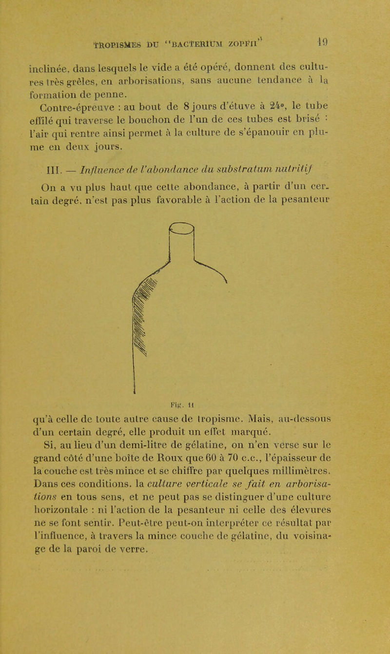 inclinée, dans lesquels le vide a été opéré, donnent des cultu- res très grêles, en arborisations, sans aucune tendance à la formation de penne. Contre-épreuve : au bout de 8 jours d'étuve à 24», le tube effilé qui traverse le bouchon de l'un de ces tubes est brisé : l'air qui rentre ainsi permet à la culture de s'épanouir en plu- me en deux jours. III. — Influence de l'abondance du substraUini nutritif On a vu plus haut que celte abondance, à partir d'un cer. tain degré, n'est pas plus favorable à l'action de la pesanteur Fit,'. Il qu'à celle de toute autre cause de Iropisme. Mais, au-dessous d'un certain degré, elle produit un elTct marque. Si, au lieu d'un demi-litre de gélatine, on n'en verse sur le grand côté d'une boîte de Roux que 60 à 70 ce, l'épaisseur de la couche est très mince et se chiffre par quelques millimètres. Dans ces conditions, la culture verticale se fait en arborisa- tions en tous sens, et ne peut pas se distinguer d'une culture horizontale : ni l'action de la pesanteur ni celle des élevures ne se font sentir. Peut-être peut-on interpréter ce résultat par l'influence, à travers la mince couche de gélatine, du voisina- ge de la paroi de verre.