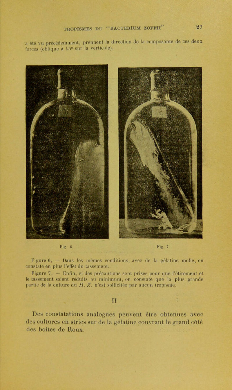 a été vu précédemment, prennent la direction de la composante de ces deux forces (oblique à i^ sur la verticale). Fig. fi Fig. 7 Figure 6. — Dans les mêmes conditions, avec de la gélatine molle, on constate en plus l'effet du tassement. Figure 7. — Enfin, si des précautions sont prises pour que l'étirement et le tassement soient réduits au minimum, on constate que la plus grande partie de la culture du B. Z. n'est sollicitée par aucun tropisme. II Des constatations analogues peuvent èlre obtenues avec des cultures en stries sur de la gélatine couvrant le grand côté des boites de Roux.