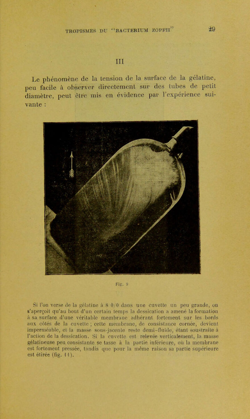 ni Le phénomène de la tension de la surface de la gélatine, peu facile à observer directement sur des tubes de petit diamètre, peut être mis en évidence par l'expérience sui- vante : Si l'on verse de la sélatinc à 8 0 0 dans une cuvette un peu grande, on s'aperçoit qu'au bout d'un certain temps la dcssication a amené la formatiou à sa surface d'une véritable membrane adhérant fortement sur les bords aux cotés de la cuvette ; celte membrane, de consistance cornée, devient imperméable, et la masse sous-jacenle reste demi-IUiide, étant soustraite à l'action de la dessication. Si la cuvette est relevée verticalement, la masse gélatineuse peu consistante se tasse à la partie inférieure, où la membrane est fortement pressée, tandis que pour la même raison sa partie supérieure