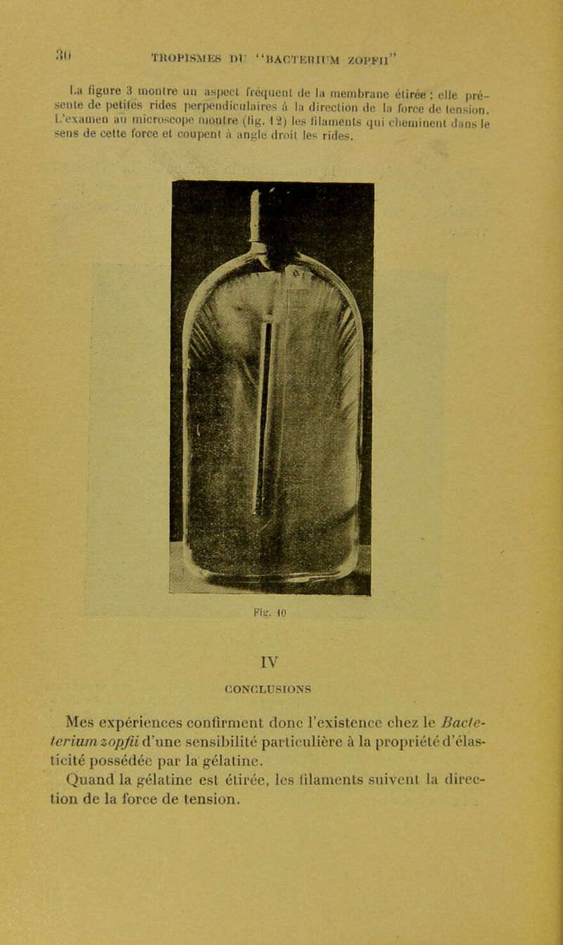 TROt>ÎSME8 nV HAC^rEniUM ZOl'Fu'* l-a figure 3 moiilre iiii as|)eei frcqueiil de la membrane étirée : elle pré- sente de petites rides perpendiculaires à la direction de la force de tension. L'examen au microscope montre (lig. 12) les filaments qui cheminent dans lé sens de cette force et coupent à angle droit les rides. IV CONCLUSIONS Mes expériences confirment donc l'existence chez le Bacie- teriumzopjii d'une sensibilité particulière à la propriété d'élas- ticité possédée par la gélatine. Quand la gélatine est étirée, les lilaments suivent la direc- tion de la force de tension.