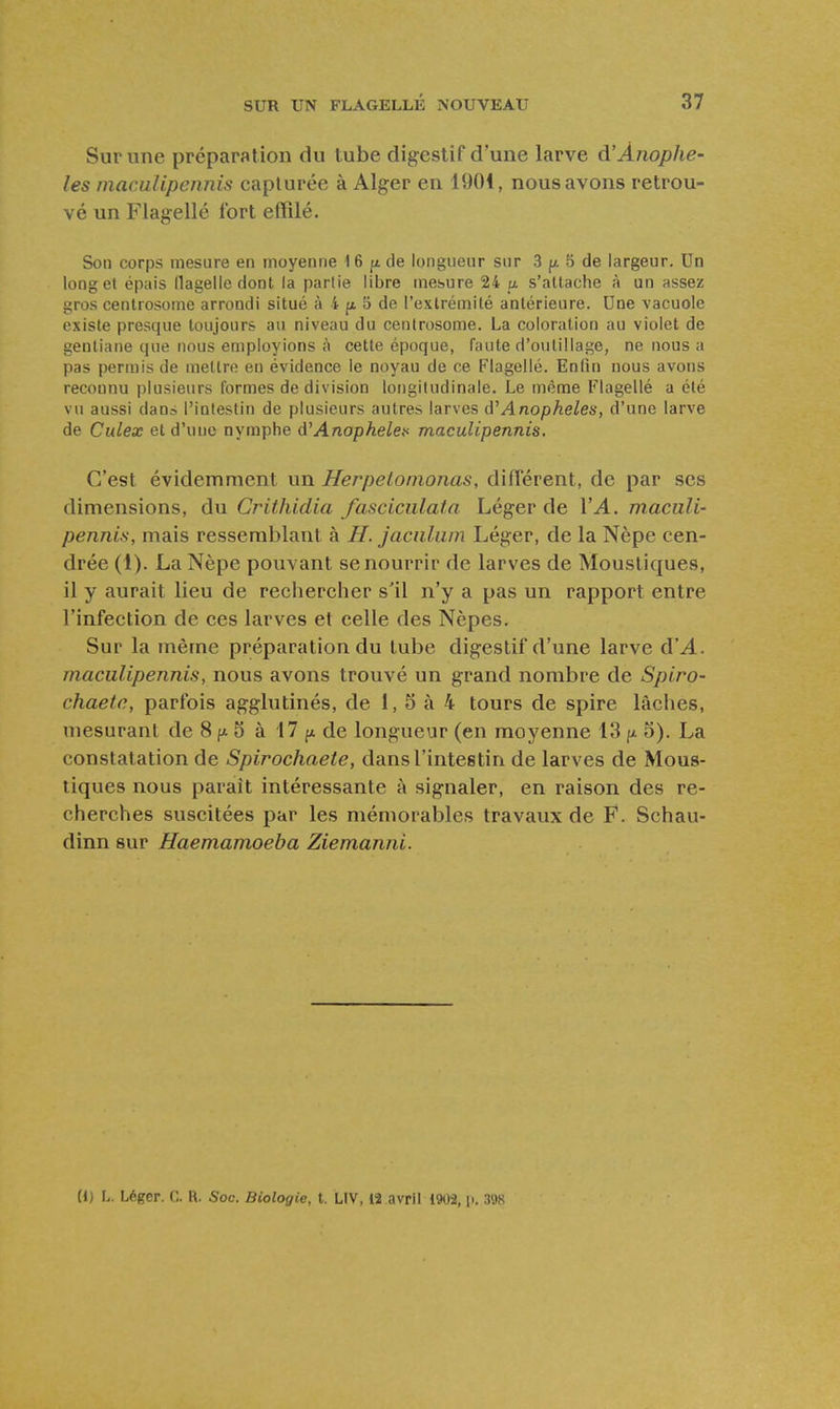 Sur une préparation du tube digestif d'une larve d'Anophè- les maculipennis capturée à Alger en 1901, nous avons retrou- vé un Flagellé fort effilé. Son corps mesure en moyenne 16 de longueur sur 3 p. 5 de largeur. Un long et épais llagelle dont la partie libre mesure 24 «, s'attache à un assez gros centrosome arrondi situé à 4 ft 5 de l'extrémité antérieure. Une vacuole existe presque toujours au niveau du centrosome. La coloration au violet de gentiane que nous employions à cette époque, faute d'outillage, ne nous a pas permis de mettre en évidence le noyau de ce Flagellé. Enfin nous avons reconnu plusieurs formes de division longitudinale. Le môme Flagellé a été vu aussi daos l'intestin de plusieurs autres larves (VAnophèles, d'une larve de Culex et d'une nymphe d^Anophelef maculipennis. C'est évidemment un Herpelornonas, différent, de par ses dimensions, du Crithidia fasciciilatn Léger de 1'^. maculi- pennis, mais ressemblant à H. jaciiliim Léger, de la Nèpe cen- drée (1). La Nèpe pouvant se nourrir de larves de Moustiques, il y aurait lieu de rechercher s'il n'y a pas un rapport entre l'infection de ces larves et celle des Nèpes. Sur la même préparation du tube digestif d'une larve d'A. maculipennis, nous avons trouvé un grand nombre de Spiro- chaelc, parfois agglutinés, de 1, 5 à 4 tours de spire lâches, mesurant de 8 /a 5 à 17 de longueur (en moyenne 13 f/ 5). La constatation de Spirochaete, dans l'intestin de larves de Mous- tiques nous paraît intéressante à signaler, en raison des re- cherches suscitées par les mémorables travaux de F. Schau- dinn sur Haemamoeba Ziemanni. (1) L. Léger. C. R. Soc. Biologie, t. LIV, 12 avril 1902,1». 398
