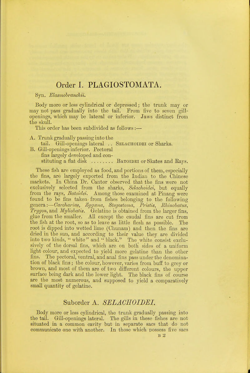Syu, ElasmohrancJiii. Body more or less cylindrical or depressed; the trunk may or may not pass gradually into the tail. Prom five to seven gill- openings, which may be lateral or inferior. Jaws distinct from the skull. This order has been subdivided as follows:— A. Trunk gradually passing into the taU. Gill-openings lateral .. Sblachoidei or Sharks. B. GiU-openings inferior. Pectoral fins largely developed and con- stituting a flat disk Batoidbi or Skates and Eays. These fish are employed as food, and portions of them, especially the fins, are largely exported from the Indiau to the Chinese markets. In China Dr. Cantor observed that the fins were not exclusively selected from the sharks, Selacfioidei, but equally fi'om the rays, Batoidei. Among those examined at Pinang were found to be fins taken from fishes belonging to the following genera:—Carcharias, Zygcena, Stegostoma, Pristis, Hhinobatus, Trygon, and Myliohatis. Gelatine is obtained from the larger fins, glue from the smaller. All except the caudal fins are cut from the fish at the root, so as to leave as little flesh as possible. The root is dipped into wetted lime (Chunam) and then the fins are dried in the sun, and according to their value they are divided into two kinds,  white  and  black. The white consist exclu- sively of the dorsal fins, which are on bothi sides of a uniform light colour, and expected to yield more gelatine than the other fins. The pectoral, ventral, and anal fins pass under the denomiua- tion of black fins; the colour, however, varies from buff to grey or brown, and most of them are of two different colours, the upper surface being dark and the lower light. The black fins of course are the most numerous, and supposed to yield a comparatively small quantity of gelatine. Suborder A. SELAGHOIDEI. Body more or less cylindrical, tlie trunk gradually passing into the tail. Gill-openings lateral. The gills in these fishes are not situated in a common cavity but in separate sacs that do not communicate one with another. In those which possess five sacs