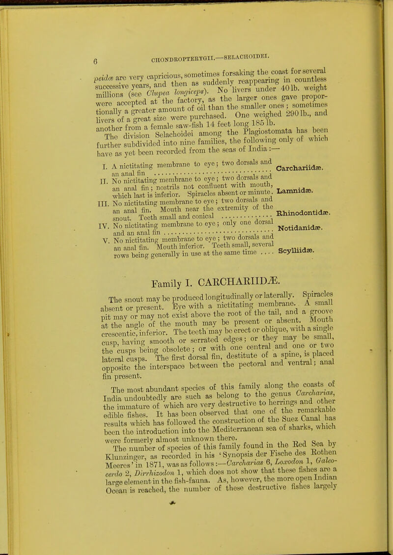 Q OHONDBOPTEBYGII.—SBLAOnOIDEI. • • ,c. cnmAfinips forsaking the coast for several peidce are very ^'^f ^en r^^^ d^^^^^^^^^^^ Jt , rsSkW iBto „i,» faMffie,, th, fono«,„g o„l, ot wl,„* have as yet been recoried tvom the seas o£ India I. AnicBatins menhmne to eye; twodo»,a..«d ^^^^ an aniil fin ,'' ' j'  ' 'i' „„;i II. No nictitating membrane to eye ; two dorsals and an anal fin; nostrils not confluent with mouth, which last is inferior. Spiracles absent or mmute Lamnidse. Ill No nictitating membrane to eye ; two dorsals ana an anal fin. Mouth near the extremity of the . snout. Teeth small and conical • • ■ ■ • Rhmodontiaae. IV. No nictitating membrane to eye; only one dorsal and an anal fin j''' V ''' j V. No nictitating membrane to eye ; two dorsals and aa anal fin. Mouth inferior. Teeth small, several rows being generally in use at the same time .... Scyiniaae. Family 1. CARCHARIID^. The snout may be produced longitudinally or lateraUy. Spiracles absent or present. Eye with a nietitatung membrane. A small S may or^may not exist above the root of the tail and a groove S the angle of the mouth may be present or absent Mouth crescenJSinferior. The teeth may be erect or oblique, with a snig e cutp having smooth or serrated edges; or they may be smaU msps being obsolete; or with one central and_one or two lateral cusps. The first dorsalfin, destitute of a spme is placed opposite r interspace between the pectoral and ventral; anal fin present. The most abundant species of this famUy along the coasts of India undoubtedly are such as belong to the genus Garchanas, he Tmrnatr^^^^^ Ivhich are very desti^uctive to ^emngs and ^^^^^^^^^ edible fishes. It has been observed that one of results which has followed the construction of the f ^^^J^^'^lJ^^^ been the introduction into the Mediterranean sea of shaiks, ^^hlch were formerly almost unknown there. , . ., -p^;, o^., u„ The number of species of this family found m the Eed Sea by KlunzAnger, as recorded in his ' Synopsis der Fische des Eothen Meeres' in 1871, was as follows :—Carc7tan-as 6, Lo.vodon 1, G-aleo- cerdo 2, DlrrJiizodon 1, which does not show that these fishes are a large element in the fish-fauna. As, however, the more open Indian Ocean is reached, the number of these destructive fishes largely