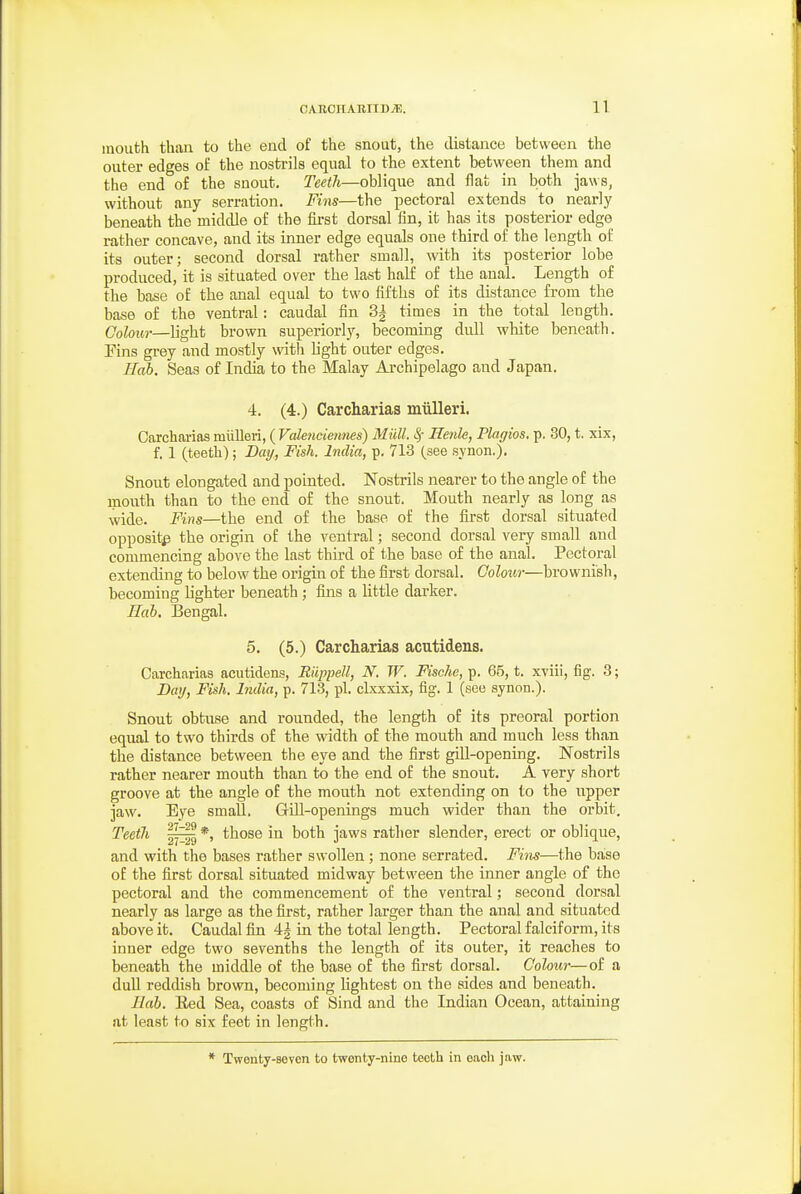 mouth than to the end of the snout, the distance between the outer edges of the nostrils equal to the extent between them and the end of the snout. Teeth—oblique and flat in both jaws, without any serration. Fins—the pectoral extends to nearly beneath the middle of the first dorsal fin, it has its posterior edge rather concave, and its inner edge equals one third of the length of its outer; second dorsal rather small, with its posterior lobe produced, it is situated over the last half of the anal. Length of the base of the anal equal to two fifths of its distance from the base of the ventral: caudal fin 3| times in the total length. Colour—light brown superiorly, becoming dull white beneath. Fins grey and mostly with light outer edges. Hob. Seas of India to the Malay Archipelago and Japan. 4. (4.) Carcharias miilleri. Carchariaa miilleri, ( Vcdendennes) Milll. 8f Henle, Plagios. p. 30, t. xix, f. 1 (teeth); Day, Fish. India, p. 713 (see synon.). Snout elongated and pointed. Nosti'ils nearer to the angle of the mouth than to the end of the snout. Mouth nearly as long as wide. Fins—the end of the base of the first dorsal situated opposite the origin of the ventral; second dorsal very small and commencing above the last third of the base of the anal. Pectoral extending to below the origin of the first dorsal. Colour—brownish, becoming lighter beneath; fins a little darker. Eab. Bengal. 5. (5.) Carcharias acutidens. Carcharias acutidens, Riippell, N. W. Fische, p. 65, t. xviii, fig. 3; Day, Fish. India, p. 713, pi. clxxxix, fig. 1 (see synon.). Snout obtuse and rounded, the length of its preoral portion equal to two thirds of the width of the mouth and much less than the distance between the eye and the first gill-opening. Nostrils rather nearer mouth than to the end of the snout. A very short groove at the angle of the mouth not extending on to the upper jaw. Eye small. GiU-openings much wider than the orbit. Teeth |^ *, those in both jaws rather slender, erect or oblique, and with the bases rather swollen; none serrated. Fins—the base of the first dorsal situated midway between the inner angle of the pectoral and the commencement of the ventral; second dorsal nearly as large as the first, rather larger than the anal and situated above it. Caudal fin 4| in the total length. Pectoral falciform, its inner edge two sevenths the length of its outer, it reaches to beneath the middle of the base of the first dorsal. Colour—of a duU reddish brown, becoming lightest on the sides and beneath. Ilab. Eed Sea, coasts of Sind and the Indian Ocean, attaining at least to six feet in length. * Twenty-seven to twonty-nino teeth in each jaw.