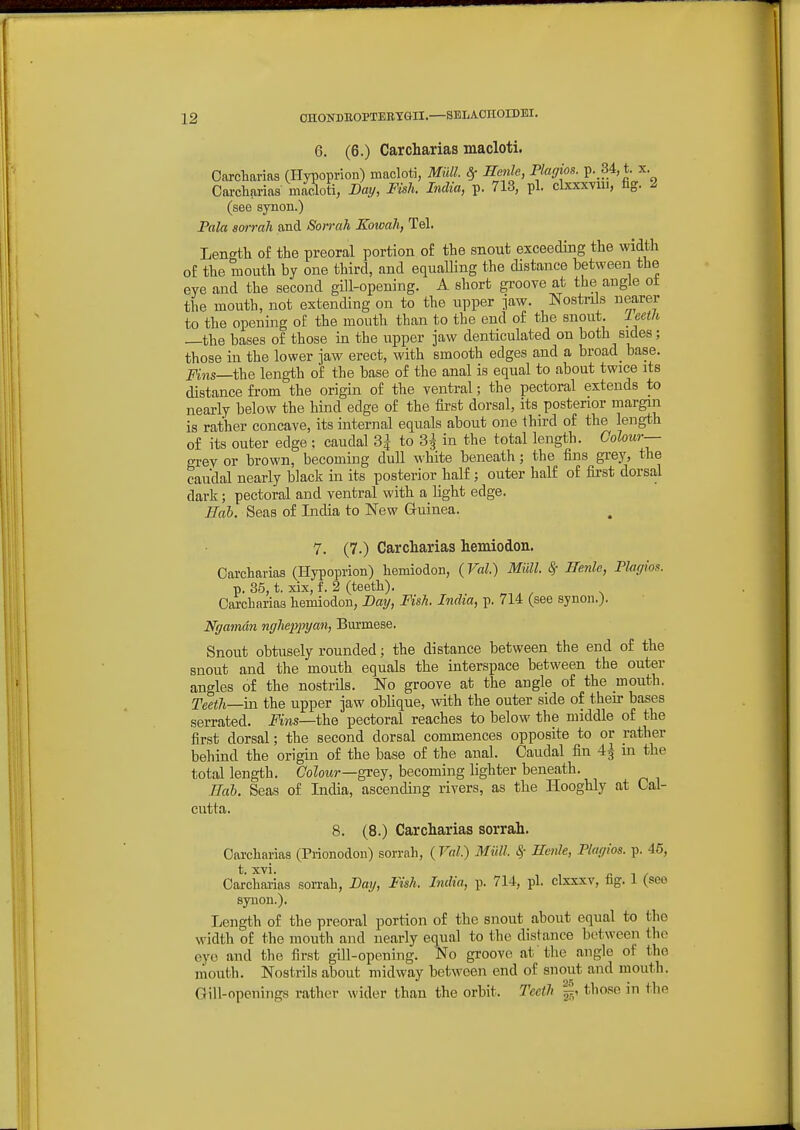 6. (6.) Carcharias macloti. Carcliarias (Hypoprion) macloti, Midi. 8f Hcnle, Plagm. p..34, t. x. Carcharias macloti, Day, Fish. India, p. 718, pi. clxxxYiu, fig. 2 (see synon.) Pala smrah and Son-ah Kowali, Tel. Length of the preoral portion of the snout exceeding the width o£ the raouth by one third, and equalling the distance between the eye and the second gill-opening. A short groove at the augle ot the mouth, not extending on to the upper >w. Nostiils nearer to the opening of the mouth than to the end of the snout, leetk —the bases of those in the upper jaw denticulated on both sides; those in the lower jaw erect, with smooth edges and a broad_ base. Fins—i\ie length of the base of the anal is equal to about twice its distance from the origin of the ventral; the pectoral extends to nearly below the hind edge of the first dorsal, its posterior margin is rather concave, its internal equals about one third of the length of its outer edge ; caudal 3^ to ^ in the total length. Colour— grev or brown, becoming dull ^vhite beneath; the fins grey, the caudal nearly black in its posterior half ; outer half of first dorsal dark; pectoral and ventral with a light edge. Hal. Seas of India to New Guinea. 7. (7.) Carcharias hemiodon. Carcharias (Hypoprion) hemiodon, {Val.) Mull. ^ Benle, Plaffion. p. 35, t. xix, f. 2 (teeth). Carcharias hemiodon, Day, Fish. India, p. 714 (see synon.). Ngamdn nglieppyan, Bm-mese. Snout obtusely rounded; the distance between the end of the snout and the mouth equals the interspace between the outer angles of the nostrils. No groove at the angle of the mouth. Teeth—Yo. the upper jaw oblique, with the outer side of then- bases serrated. JYns—the pectoral reaches to below the middle of the first dorsal; the second dorsal commences opposite to or rather behind the origin of the base of the anal. Caudal fin 4^ in the total length. CoZomj-—grey, becoming lighter beneath. Hah. Seas of India, ascending rivers, as the Hooghly at Cal- cutta. 8. (8.) Carcharias sorrah. Carcharias (Prionodon) sorrah, (Fa?.) Milll. Sf Henle, Plagios. p. 45, t. Xvi. n 1 / Carcharias sorrah, Day, Fish. India, p. 714, pi. clxxxv, lig. 1 (see synon.). Length of the preoral portion of the snout about equal to the width of the mouth and nearly equal to the distance between the eye and the first gill-opening. No groove at 'the angle of the rnouth. Nostrils about midway between end of snout and mouth. Gill-openings rather wider than the orbit. Teeth |, tho.se in the