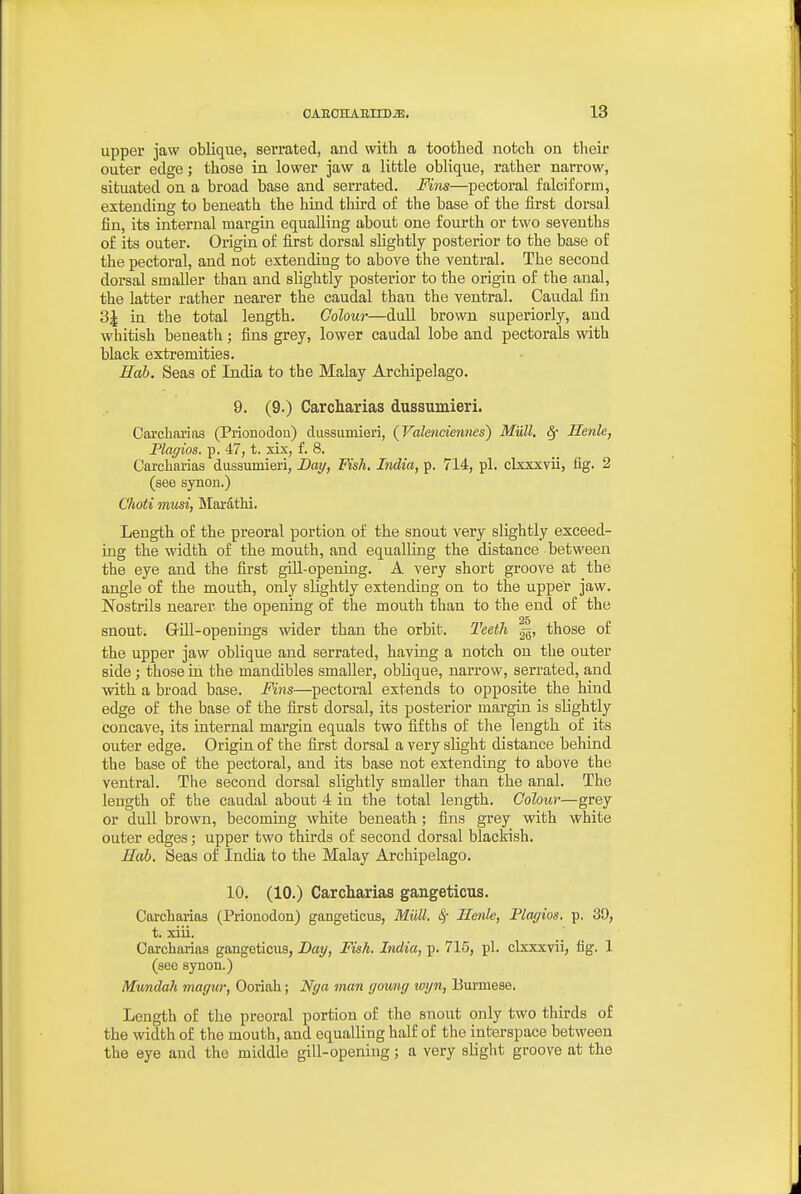 upper jaw oblique, serrated, and with a toothed notch on their outer edge; those in lower jaw a little oblique, rather narrow, situated on a broad base and serrated. Fim—pectoral falciform, extending to beneath the hind third of the base of the first dorsal fin, its internal margin equalling about one fourth or two sevenths of its outer. Origin of first dorsal slightly posterior to the base of the pectoral, and not extending to above the ventral. The second dorsal smaller than and slightly posterior to the origin of the anal, the latter rather nearer the caudal than the ventral. Caudal fin 3J in the total length. Colour—dull brown superiorly, and whitish beneath; fins grey, lower caudal lobe and pectorals with black extremities. Hah. Seas of India to the Malay Archipelago. 9. (9.) Carcharias dussumieri. Carcharias (Prionodou) dussumieri, (Valenciennes) Mull. Sf Menle, Plagios. p. 47, t. xix, f. 8. Carcharias dussumieri, Day, Fish. India, p. 714, pi. clxxxvii, fig. 2 (see synoD.) Choti musi, IMarathi. Length of the preoral portion of the snout very slightly exceed- ing the width of the mouth, and equalling the distance between the eye and the first gUl-opening. A very short groove at the angle of the mouth, only slightly extending on to the upper jaw. Nostrils nearer the opening of the mouth than to the end of the snout. Gill-opeuings wider than the orbit. Teeth ^, those of the upper jaw oblique and serrated, having a notch on the outer side ; those in the mandibles smaller, oblique, narrow, serrated, and with a broad base. Mns—pectoral extends to opposite the hind edge of the base of the first dorsal, its posterior margin is slightly concave, its internal margin equals two fifths of the length of its outer edge. Origin of the first dorsal a very slight distance behind the base of the pectoral, and its base not extending to above the ventral. The second dorsal slightly smaller than the anal. The length of the caudal about 4 in the total length. Colour—grey or dull brown, becoming white beneath; fins grey with white outer edges; upper two thirds of second dorsal blackish. Eab. Seas of India to the Malay Archipelago. 10. (10.) Carcharias gangeticus. Carcharias (Prionodon) gangeticus, MUll. Menle, Platjios. p. 39, t. xiii. Carcharias gangeticus, Day, Fish. India, p. 715, pi. clxxxvii, tig. 1 (see synon.) Mundah magur, Ooriah; Nga man goung wyn, Burmese. Length of the preoral portion of the snout only two thirds of the width of the mouth, and equalling half of the interspace between the eye and the middle gill-opening; a very slight groove at the