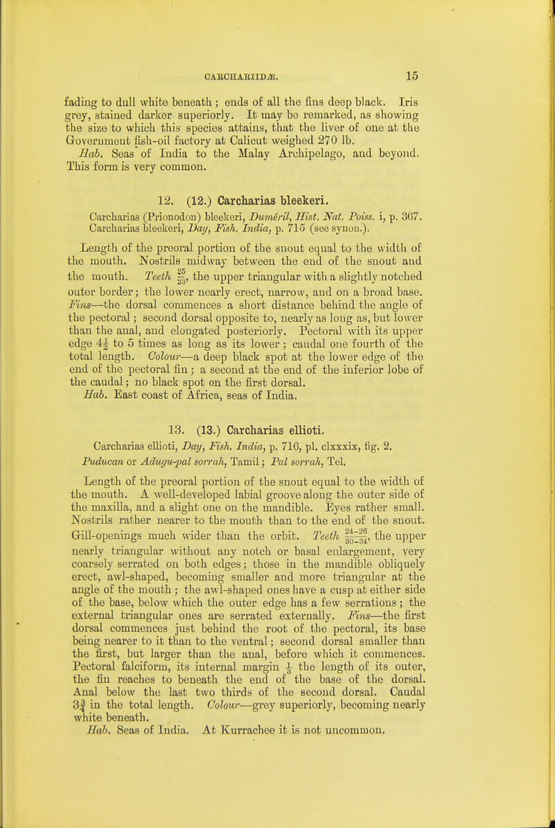 fading to dull white beneath ; ends of all the fins deep black. Iris grey, stained darker superiorly. It may be remarked, as showing the size to which this species attains, that the liver of one at the Government fish-oil factory at Calicut weighed 270 lb. Bob. Seas of India to the Malay Archipelago, and beyond. This form is very common. 12. (12.) Carcharias bleekeri. Carcharias (Prionodon) bleekeri, Dumeril, Hist. Nat. Poiss. i, p. 367. Carcharias bleekeri, Dai/, Fish. India, p. 715 (see synon.). Length of the preoral portion of the snout equal to the width of the mouth. Nosti-ils midway between the end of the snout and the mouth. Teeth the upper triangular with a slightly notched outer border; the lower nearly erect, narrow, and on a broad base. Fills—the doi'sal commences a short distance behind the angle of the pectoral; second dorsal opposite to, nearly as long as, but lower than the anal, and elongated posteriorly. Pectoral with its upper edge 4| to 5 times as long as its lower; caudal one fourth of the total length. Colour—a deep black spot at the lower edge of the end of the pectoral fin; a second at the end of the inferior lobe of the caudal; no black spot on the first dorsal. Hab. East coast of Africa, seas of India. 13. (13.) Carcharias ellioti. Carcharias eUioti, Dai/, Fish. India, p. 716, pi, clxxxix, fig. 2. Puducan or Aduyu-pal soirah, Tamil; Pal sorrah, Tel. Length of the preoral portion of the snout equal to the width of the mouth. A well-developed labial groove along the outer side of the maxilla, and a slight one on the mandible. Eyes rather small. Nostrils rather nearer to the mouth than to the end of the snout. Gin-openings much wider than the orbit. Teeth the upper nearly triangular without any notch or basal enlargement, very coarsely serrated on both edges; those in the mandible obliquely erect, awl-shaped, becoming smaller and more triangular at the angle of the mouth ; the awl-shaped ones have a cusp at either side of the base, below which the outer edge has a few serrations ; the external triangular ones are serrated externally. Fins—the first dorsal commences just behind the root of the pectoral, its base being nearer to it than to the ventral; second dorsal smaller than the first, but larger than the anal, before which it commences. Pectoral falciform, its internal margin J- the length of its outer, the fin reaches to beneath the end of the base of the dorsal. Anal below the last two thirds of the second dorsal. Caudal 3| in the total length. Colour—grey superiorly, becoming nearly white beneath. Hah. Seas of India. At Kurrachee it is not uncommon.