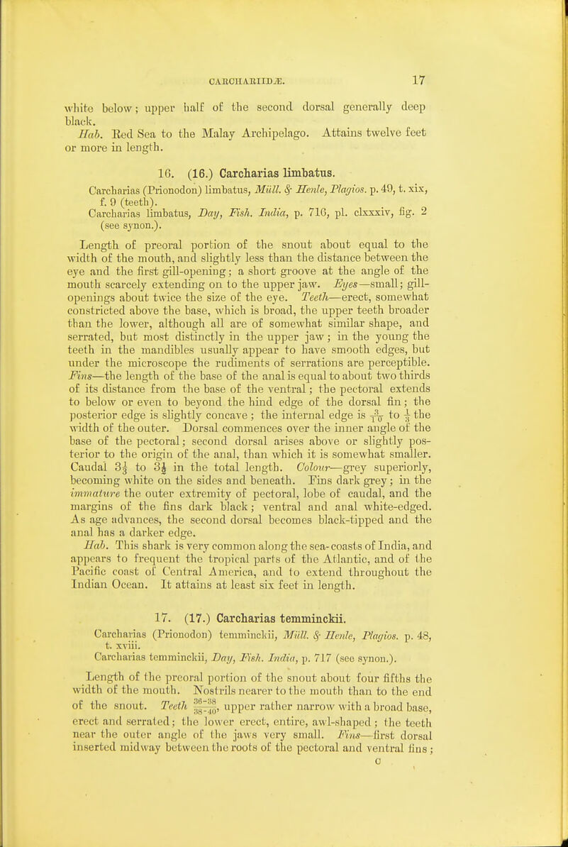 whito below; upper iialf of the second dorsal generally deep black. Ilab. Eed Sea to the Malay Archipelago. Attains twelve feet or more in length. 16. (16.) Carcharias limbatus. Carcharias (Prionodon) limbatus, Mull. ^ Henle, Plmjios. p. 49, t. xix, f. 9 (teeth). Carcharias limbatus, Day, Fish. India, p. 716, pi. clxxxiv, fig. 2 (see synon.). Length of preoral portion of the snout about equal to the width of the mouth, and slightly less than the distance between the eye and the first gill-opening; a short groove at the angle of the mouth scarcely extending on to the upper jaw. Eyes—small; gill- openings about twice the size of the eye. Teeth—erect, somewhat constricted above the base, which is broad, the upper teeth broader than the lower, although all are of somewhat similar shape, and serrated, but most distinctly in the upper jaw; in the young the teeth in the mandibles usually appear to have smooth edges, but under the microscope the rudiments of serrations are perceptible. Fins—the length of the base of the anal is equal to about two thirds of its distance from the base of the ventral; the pectoral extends to below or even to beyond the hind edge of the dorsal tin; the posterior edge is slightly concave ; the internal edge is ^ to ^ the width of the outer. Dorsal commences over the inner angle of the base of the pectoral; second dorsal arises above or slightly pos- terior to the origin of the anal, than which it is somewhat smaller. Caudal 3g to 3^ in the total length. Colour-—gi-ey superiorly, becoming white on the sides and beneath. Tins dark gi-ey; in the immature the outer extremity of pectoral, lobe of caudal, and the margins of the tins dark black; ventral and anal -white-edged. As age advances, the second dorsal becomes black-tipped and the anal has a darker edge. Hah. This shark is very common along the sea-coasts of India, and appears to frequent the tropical parts of the Atlantic, and of the Pacific coast of Central America, and to extend throughout the Indian Ocean. It attains at least six feet in length. 17. (17.) Carcharias temminckii. Carcharias (Prionodon) temmincliii, Miill. ^- Ilenle, Playios. p. 48, t. xviii. Carcharias temminckii, Day, Fish. India, p. 717 (see synon.). Length of the preoral portion of the snout about four fifths the width of the mouth. Nostrils nearer to the mouth than to the end of the snout. Teeth upper rather narrow with a broad base, erect and serrated; the lower erect, entire, awl-shaped ; the tooth near the out(5r angle of the jaws very small. Fins—first dorsal inserted midway between the roots of the pectoral and ventral lius; 0