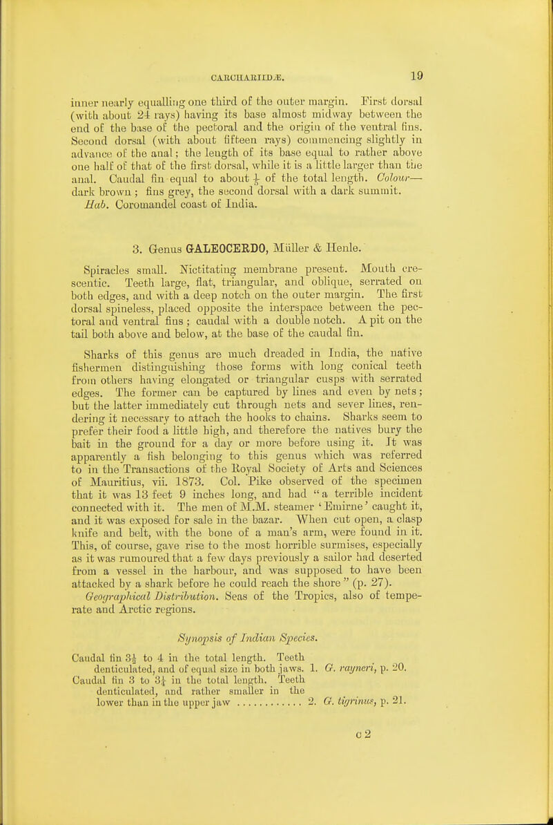 inner nearly equalling one third of the outer margin. First dorsal (with about 24 rays) having its base almost midway between the end of the base of the pectoral and the origin of the ventral (ins. Second dorsal (with about (ifteen rays) coiumenciug slightly in advance ol:' the anal; the length of its base equal to rather above one half of that of the first dorsal, while it is a little larger than tbe anal. Caudal fin equal to about ^ of the total length. Colour— dark browu ; fins grey, the second dorsal with a dark summit. Mab. Coromaudel coast of ludia. 3. Genus GALEOCERDO, Miiller & Henle. Spiracles small. Nictitating membrane present. Mouth cre- scentic. Teeth large, flat, triangular, and oblique, serrated on both edges, and with a deep notch on the outer margin. The first dorsal spineless, placed opposite the interspace between the pec- toral and ventral fins ; caudal with a double notch. A pit on the tail both above and below, at the base of the caudal fin. Sharks of this genus are much dreaded in India, the native fishermen distinguishing those forms with long conical teeth from others having elongated or triangular cusps with serrated edges. The former can be captured by lines and even by nets; but the latter immediately cut through nets and sever lines, ren- dering it necessary to attach the hooks to chains. Sharks seem to prefer their food a little high, and therefore the natives bury the bait in the ground for a day or more before using it. It was appai-ently a fish belonging to this genus which was referred to in the Transactions of the lioyal Society of Arts and Sciences of Mauritius, vii. 1873. Col. Pike observed of the specimen that it was 13 feet 9 inches long, and had  a terrible incident connected with it. The men of M.M. steamer ' Emirne' caught it, and it was exposed for sale in the bazar. When cut open, a clasp Isnife and belt, with the bone of a man's arm, were found in it. This, of course, gave rise to the most horrible surmises, especially as it was rumoured that a few days previously a sailor had deserted from a vessel in the harbour, and was supposed to have been attacked by a shark before he could reach the shore  (p. 27). Geoyrajihical Distribution. Seas of the Tropics, also of tempe- rate and Arctic regions. Synopsis of Indian Species. Caudal tin 3^ to 4 in the total length. Teeth denticulated, and of equal size in both jaws. 1. G. rayneri, p. 20. Caudal Kn 3 to 3;^ in the total leup^tli. Teeth denticidated, and rather smaller in the lower than iutke upper jaw 2. G. tigrinus, p. 21. o2