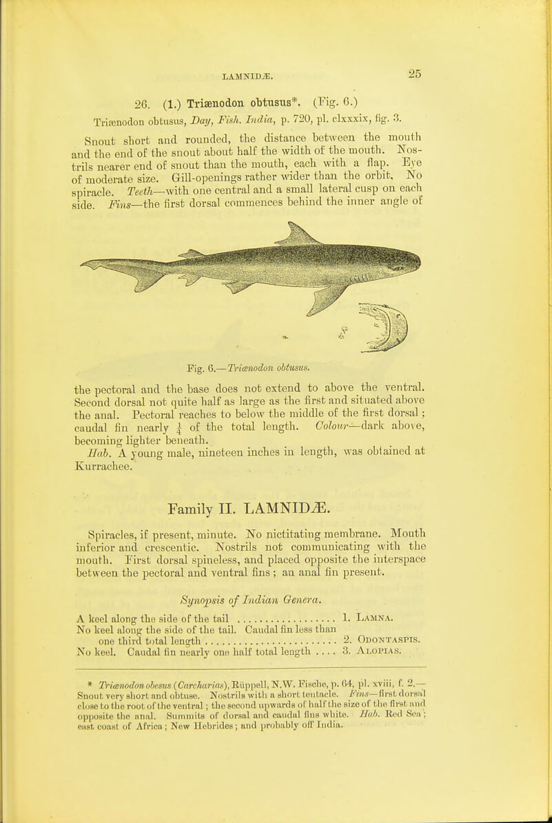 26. (1.) Trisenodon oMusus*. (Fig. 6.) Trirenodon obtusus, Day, Fish. India, p. 720, pi. clxxxix, fig. 8. Snout short and rounded, the distance between the mouth and the end of the snout about half the width of the mouth. Nos- trils nearer end of snout than the mouth, each with a flap. Eye of moderate size. Gill-openings rather wider than the orbit. No spiracle. Teeth—with one central and a small lateral cusp on each side. Fins—the first dorsal commences behind the inner angle of Fig. 6.—Tri(Bnodon obtusus. the pectoral and the base does not extend to above the ventral. Second dorsal not quite half as large as the first and situated aboA^e the anal. Pectoral reaches to below the middle of the first dorsal; caudal fin nearly \ of the total length. Gohui—dark abo\e, becomiug lighter beneath. Hah. A young male, nineteen inches in length, was obtained at Kurrachee. Family II. LAMNIDiE. Spiracles, if present, minute. No nictitating membrane. Mouth inferior and crescentic. Nostrils not communicating with the mouth. Pirst dorsal spineless, and placed opposite the interspace between the pectoral and ventral fins; an anal fin present. Synopsis of Indian Genera. A keel along the side of the tail 1. Lamna. No keel along the side of the tail. Caudal fin less than one third total length 2. Odontaspis. No keel. Caudal fin nearly one half total length 3. Alopiah. * Trianodonobesus (Cnrc/<arins), Eiippell, N.W. Fisclio, p. 04, pi. xviii, f. 2.— Snout, very short and obtuse. No-strils witli a short tentacle, /''m.s—first dorsiil close to the root of the ventral ; the second upwards dC half the size of the first and opposite the iinal. Sunnnits of dor.sal and caudal lins white. Hub. Bed Sea ; east coast of Africa ; New Hebrides; and probably off India.