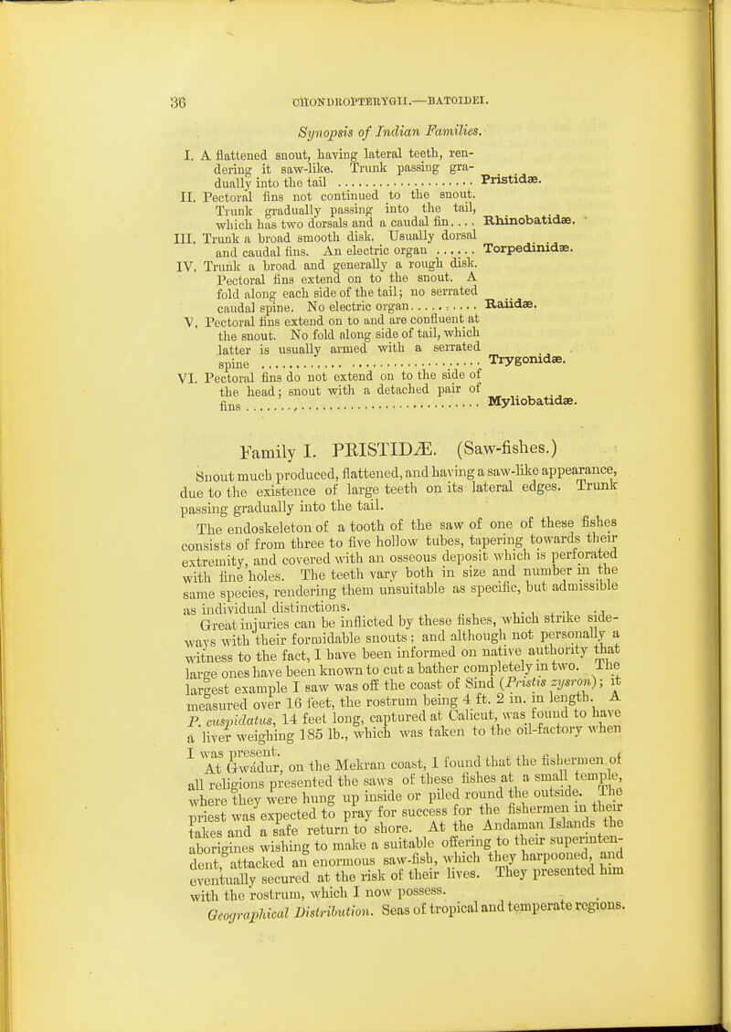 38 OttONDROl'TERTGlI.—BATOIDEI. Synopsis of Indian Families. I. A. flattened snout, laaving lateral teeth, ren- dering it saw-like. Trunk passing gra- dually into tlie tail Pnstidae. II. Pectoral fins not continued to tlie snout. Trunk gradually passing into the tail, which has two dorsals and a caudal fin Rhinobatidae. III. Trunk a broad smooth disk. Usually dorsal and caudal fins. An electric organ ...... Torpedinidae. IV. Trunk a broad and generally a rough disk. Pectoral fins extend on to the snout. A fold along each side of the tail; no serrated caudal spine. No electric organ .- Raiidae. v. Pectoral tins extend on to and are confluent at the snout. No fold along side of tail, which latter is usually armed with a serrated spine VI. Pectoral fins do not extend on to the side of Trygonidae. the head; snout witli a detached pair of £jjg _ Myliobatidae. Family I. PRISTIDiE. (Saw-fishes.) Snout much produced, flattened, and having a saw-like appearance, due to the existence of large teeth on its lateral edges. Trunk passing gradually into the tail. The endoskeleton of a tooth of the saw of one of these fishes consists of from three to five hollow tabes, tapering towards then- extremity, and covered with an osseous deposit which is perforated with fine holes. The teeth vary both in size and number m the same species, rendering tliem unsuitable as specific, but admissible as individual distinctions. , ■ , , -i -j Great iniuries can be inflicted by these fishes, which strike side- ways with their formidable snouts ; and althougli not personally a witness to the fact, I have been informed on natn'e authority that laree ones have been known to cut a bather completely m two. llie largest example I saw was off the coast of Bind {PrisUs zysron)it melsured over 16 ieet, the rostrum being 4 ft 2 m. in length- A P. cuspiclatus, 14 feet long, captured at Calicut was found to have a liver weighing 185 lb., which was taken to the oil-factory when ^ Tt^lwddur, on the Mekran coast, 1 found that the fishermen.of all religions presented the saws of these fishes at a sm^Il temple where they w'ere hung up inside or piled round the outside The priest was expected to pray for success for the fishermen m their Skes and a safe return to shore. At the Andaman Islands the abor Xes wishing to make a suitable offering to their supennteu- dent attacked an enormous saw-fish, which they harpooned and Selally secured at the risk of their lives. They presented him with the rostrum, which I now possess. QeocjrapUcal Distribution. Seas of tropical and temperate regions.