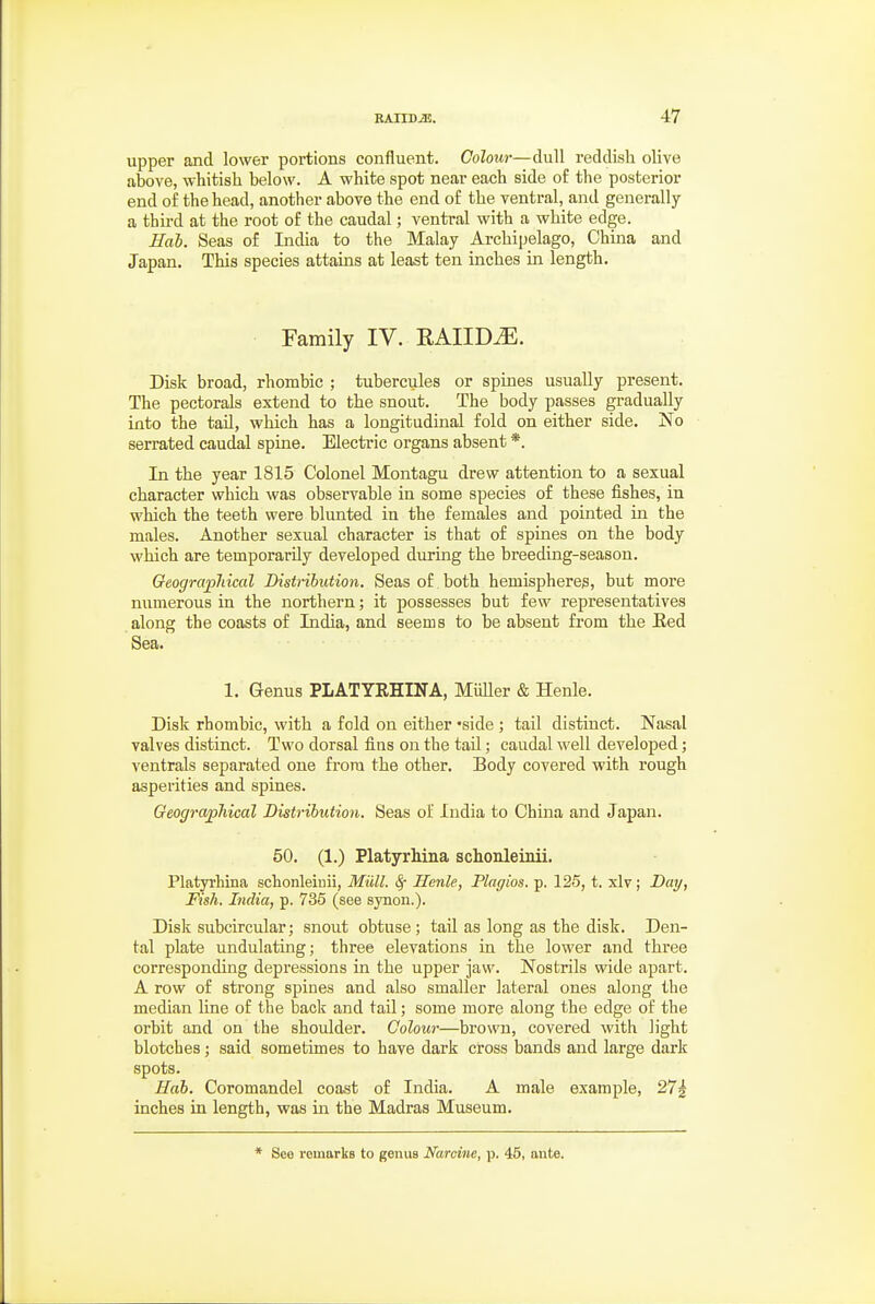 upper and lowei* portions confluent. Colour—dull reddish olive above, whitish below. A white spot near each side of the posterior end of the head, another above the end of the ventral, and generally a third at the root of the caudal; ventral with a white edge. Hah. Seas of Incha to the Malay Archipelago, China and Japan. This species attains at least ten inches in length. Family IV. RAIID^. Disk broad, rhombic ; tubereules or spines usually present. The pectorals extend to the snout. The body passes gradually into the tail, which has a longitudinal fold on either side. No serrated caudal spine. Electric organs absent *. In the year 1815 Colonel Montagu drew attention to a sexual character which was observable in some species of these fishes, in which the teeth were blunted in the females and pointed in the males. Another sexual character is that of spines on the body which are temporarily developed during the breeding-season. Geograpliiail Distnbiition. Seas of both hemispheres, but more numerous in the northern; it possesses but few representatives along the coasts of India, and seems to be absent from the Eed Sea. 1. Genus PLATYEHINA, MiiUer & Henle. Disk rhombic, with a fold on either -side ; tail distinct. Nasal valves distinct. Two dorsal fins on the tail; caudal well developed; ventrals separated one from the other. Body covered with rough asperities and spines. Geographical Distribution. Seas of India to China and Japan. 50. (1.) Platyrhina schonleimi. Platyrhina schonleinii, Miill. ^ Henle, Plagios. p. 125, t. xlv; Day, Fish. India, p. 735 (see synon.). Disk subcircular; snout obtuse; tail as long as the disk. Den- tal plate undulating; three elevations in the lower and three corresponding depressions in the upper jaw. Nostrils wide apart. A row of strong spines and also smaller lateral ones along the median line of the back and tail; some more along the edge of the orbit and on the shoulder. Colour—brown, covered with light blotches; said sometimes to have dark cross bands and large dark spots. Hab. Coromandel coast of India. A male example, 27| inches in length, was m the Madras Museum. * See remarks to genus Narcine, p. 45, ante.