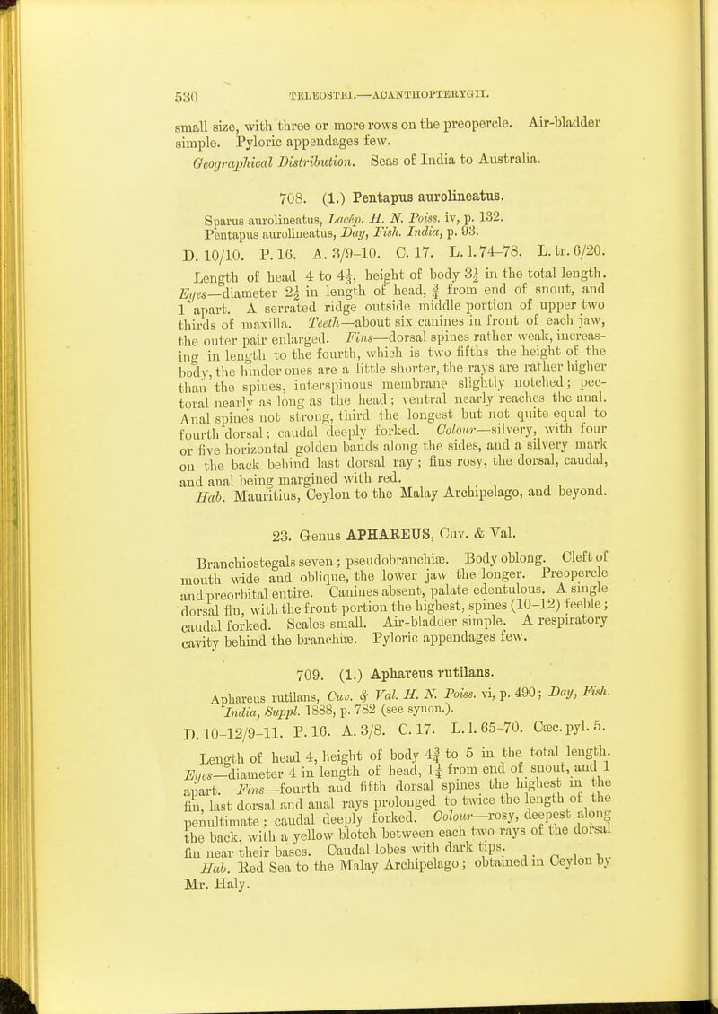 amall size, with three or more rows on the preopercle. Air-bladder simple. Pyloric appendages few. OeograjjJiical Distribution. Seas of India to Australia. 708. (1.) Pentapus aurolineatus. Sparus aurolineatus, Lac£2}- H. N. Poiss. iv, p. 132. Pentapiis aurolineatus, Day, Fish. India, p. 93. D. 10/10. P. 16. A. 3/9-10. C. 17. L. 1.74-78. L.tr.6/20. Length of head 4 to 4^, height of body 3i in the total length. %<;«—diameter 2| iu length of head, | from end of snout, and 1 apart. A serrated ridge outside middle portion of upper two thirds of maxilla. Teeth—ahont six canines in front of each jaw, the outer pair enlarged. Fins—dorsal spines rather weak, increas- ing in length to the fourth, which is two fifths the height of the body, the hinder ones are a little shorter, the rays are rather higher than'the spines, interspinous membrane slightly notched; pec- toral nearly as long as the head; ventral nearly reaches the anal. Anal spines not strong, third the longest but not quite equal to fourth dorsal; caudal deeply forked. CoZok?-—silvery, with four or five horizontal golden bands along the sides, and a silvery mark on the back behind last dorsal ray ; fins rosy, the dorsal, caudal, and anal being margined with red. ffab. Mauritius, Ceylon to the Malay Archipelago, and beyond. 23. Genus APHAREUS, Cuv. & Val. Brauchiostegals seven; pseudobranchiffi. Body oblong. Cleft of mouth wide and oblique, the lower jaw the longer. Preoperc e and preorbital entii-e. Canines absent, palate edentulous. A single dorsal fin, with the front portion the highest, spines (10-12) feeble; caudal forked. Scales smaU. Air-bladder simple. A respiratory cavity behind the branchiae. Pyloric appendages few. 709. (1.) Aphareus rutilans. Aphareus rutilans, Cuv. ^ Val. H. N. Poiss. vi, p. 490; Day, Fish. India, Suppl. 1888, p. 782 (see synou.). D. 10-12/9-11. P. 16. A. 3/8. C. 17. L. I. 65-70. Ctec.pyl.5. Length of head 4, height of body 4| to 5 in the total length i?«cs-diameter 4 in length of head, !{ from end of snout, and 1 apart. Fins-lomt\x aud fifth dorsal spines the highest m the fin, last dorsal and anal rays prolonged to twice the length ot the pemiltimate : caudal deeply forked. Oo?oi«-rosy, deepest along the back, with a yeUow blotch between each two rays of the doisal fin near their bases. Caudal lobes with dark tips. Hah. Eed Sea to the Malay Archipelago; obtained in Ceylon by Mr. Haly.