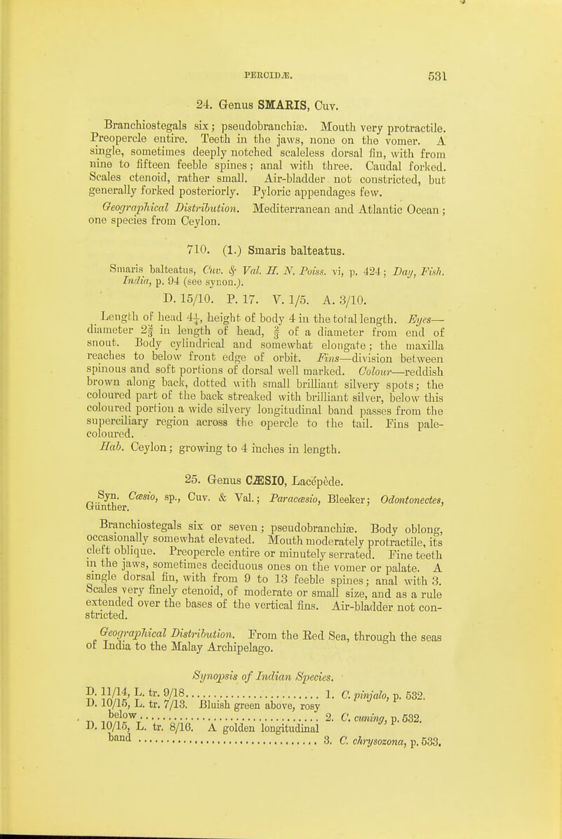 24. Genus SMARIS, Cuv. Branchiostegals sLx; pseudobratichifc. Mouth very protractile. Preopercle entire. Teeth in the jaws, none on the vomer. A single, sometimes deeply notched scaleless dorsal fin, with from nine to fifteen feeble spines; anal with three. Caudal forked. Scales ctenoid, rather small. Air-bladder not constricted, but generally forked posteriorly. Pyloric appendages few. Geographical Distribution. Mediterranean and Atlantic Ocean; one species from Ceylon. 710. (1.) Smaria halteatus. Sniaris balteatus, Cm: Sf Val. II. N. Poisa. vi, p. 424; Day, Fish. India, p. 94 (see synon.j. D. 15/10. P. 17. V. 1/5. A. 3/10. Length of head 4J-, height of body 4 in the total length. Eyes^ diameter 2| in length of head, f of a diameter from end of snout. Body cylindrical and somewhat elongate; the maxilla reaches to below front edge of orbit. Fins—division between spinous and soft portions of dorsal well marked. Colour—reddish brown along back, dotted with small brilliant silvery spots; the coloured part of the back streaked with brilliant silver, below this coloured portion a wide silvery longitudinal band passes from the superciliary region across tlie opercle to the tail. Pins pale- coloured. Bob. Ceylon; growing to 4 inches in length. 25. Genus CffiSIO, Lacepede. Syn. Ccesio, sp., Cuv. & Val.; Paraecesio, Bleaker; Odmitonectes, biinthei'. ' Branchiostegals sis or seven; pseudobranchia;. Body oblong, occasionally somewhat elevated. Mouth moderately protractile, its cleft oblique. Preopercle entire or minutely serrated. Pine teeth in the jaws, sometimes deciduous ones on the vomer or palate. A single dorsal fin, with from 9 to 13 feeble spines; anal with 3. bcales very finely ctenoid, of moderate or small size, and as a rule extended over the bases of the vertical fins. Air-bladder not con- stricted. OeocjrapMcal Distribution. Prom the Eed Sea, through the seas of India to the Malay Archipelago. Synopsis of Indian Species. J^. tr. 9/18 1. a pinjalo, p. 532. D. 10/15, L. tr. 7/13. Bkiish green above, rosy D. 10/16, L. tr. 8/16. A golden longitudinal ^^•i 3. a chrysozona, p. 533.