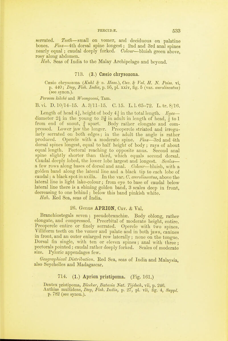 serrated. Teeth—small on vomer, and deciduous on palatine bones. Fins—4i]i dorsal spine longest; 2nd and 3rd anal spines nearly equal ; caudal deeply forked. Colour—bluish green above, rosy along abdomen. Hah. Seas of India to the Malay Archipelago and beyond. 713. (3.) Csesio chrysozona. Csesio chrysozona (Kuhl Sj v. Ilass.), Cuv. ^ Veil. H. N. Poiss. vi, p. 440; Dai/, Fish. India, p. 95, pi. xxiv, hg. 5 (var. aurolineatns) (see synon.). Peroom hilcM and Woongooni, Tam. B.vi. D. 10/14-15. A. 3/11-15. 0.15. L. 1.65-72. L.tr. 8/16. Length of head 4|, height of body 4^ in the total length. Eyes— diameter 2\ in the young to 8| in adult in length of head, ^ to 1 from end of snout, | apart. Body rather elongate and com- pressed. Lower jaw the longer. Preopercle striated and irregu- larly serrated on both edges; in the adult the angle is rather produced. Opercle with a moderate spine. Fins—3rd and 4th dorsal spines longest, equal to half height of body; rays of about equal length. Pectoral reaching to opposite anus. Second anal spine slightly shorter than third, which equals second dorsal. Caudal deeply lobed, the lower lobe largest and longest. Scales— a few rows along bases of dorsal and anal. Colour—bluish, with a golden band along the lateral line and a black tip to each lobe of caudal; a black spot in axilla. In the var. C. aurolineatus, above the lateral line is light lake-colour; from eye to base of caudal below lateral line there is a shining golden band, 3 scales deep in front, decreasing to one behind; below this band pinkish white. Hob, Eed Sea, seas of India. 26. Genus APRION, Cuv. & Val. Branchiostegals seven; pseudobranchiaj. Body oblong, rather elongate, and compressed. Preorbital of moderate height, entire. Preopercle entire or finely serrated. Opercle with two spines. Villiform teeth on the vomer and palate and in both jaws, canines in front, and an outer enlarged row laterally; none on the tongue. Dorsal fin single, with ten or eleven spines; anal with three; pectorals pointed; caudal rather deeply forked. Scales of moderate size. Pyloric appendages few. Geoc/rapMcal Distribution. Eed Sea, seas of India and Malaysia, also Seychelles and Madagascar. 714. (1.) Aprion pristipoma. (Fig. 161.) Dentex pristipoma, Blecker, Batavia Nat. Tijdsch. vii, p. 246. Anthiaa niultidens, Day, Fish. India, p. 27, pi. vii, lig. 4, Suppl. p. 782 (see synon.).