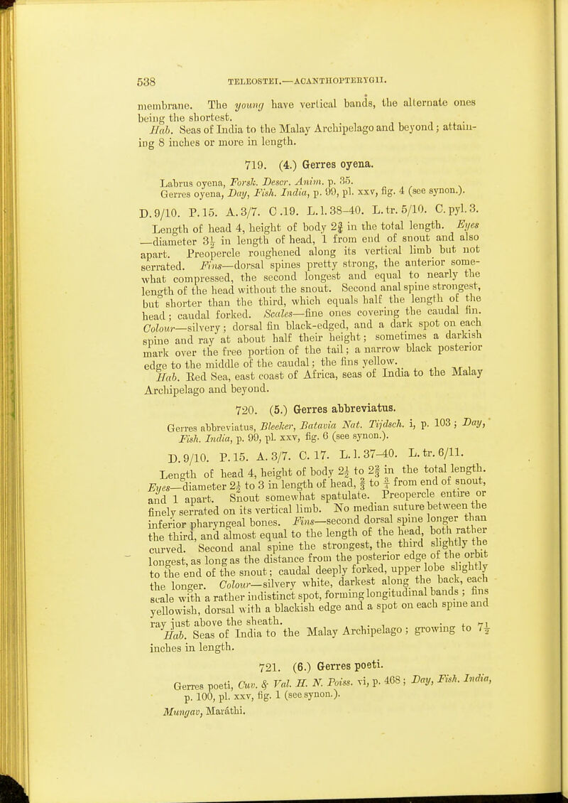 « membrane. The young have vertical bands, the allernate ones being the shortest. Ilab. Seas of Lidia to the Malay Archipelago and beyond; attain- ing 8 inches or more in length. 719. (4.) Gerres oyena. Labras oyena, Forslc. Descr. Anim. p. 35. „ , , . Gerres oyena, Day, Fish. India, p. 90, pi. xxv, fig. 4 (see synon.). D.9/10. P. 15. A. 3/7. 0.19. L. 1.38-40. L.tr. 5/10. C.pyl.3. Length of head 4, height of body 2| in the total length. Eyes —diameter 3J, in length of head, 1 from end of snout and also apart. Preopercle roughened along its vertical limb but not serrated, i^'/iw—doi-sal spines pretty strong, the anterior some- what compressed, the second longest and equal to nearly the leno-th of the head without the snout. Second anal spine strongest, but'' shorter than the third, which equals half the length of the head; caudal forked. Scales—ones covermg the caudal hn. C7oioMr—silvery; dorsal fin black-edged, and a darls spot on each spine and ray at about half their height; sometimes a darkish marli over the free portion of the tail; a narrow black posterior edge to the middle of the caudal; the fins yellow Hah. Eed Sea, east coast of Africa, seas of India to the Malay Archipelago and beyond. 720. (5.) Gerres abbreviatus. Gerres abbreviatus, Bleeher, Batavia Nat. Tijdsch. i, p. 103 ; Day,' Fish. India, p. 99, pi. xxv, fig. 6 (see synon.). D.9/10. P. 15. A. 3/7. C. 17. L. 1. 37-40. L.tr. 6/11. Length of head 4, height of body 2^ to 2| in the total length. ^y«s-diameter 2i to 3 in length of head, | to | from end of snout, and 1 apart. Snout somewhat spatulate. Preopercle entu-e or finely serrated on its vertical limb. No median suture between the inferior pharyngeal bones. J-i^s-second dorsal spine longer than the third, and almost equal to the length of the head both rati er curved. Second anal spine the strongest, the third slightly the longest, as long as the distance from the posterior edge of the orbit to the end of the snout; caudal deeply forked, upper lobe slightly the longer. CoZowr-silvery white, darkest along the back, each scale wfth a rather indistinct spot, forming longitudinal bands ; fi^ns yeUowish, dorsal with a blackish edge and a spot on each spine and rav iust above the sheath. . Hah. Seas of India to the Malay Archipelago; growing to 7^ inches in length. 721. (6.) Gerres poeti. Gen-es poeti, Cu.. ^ Val. II N. Poiss. vi, p. 468; Day, Fish. India, p. 100, pi. XXV, tig. 1 (see synon.)- Munyav, Marathi.