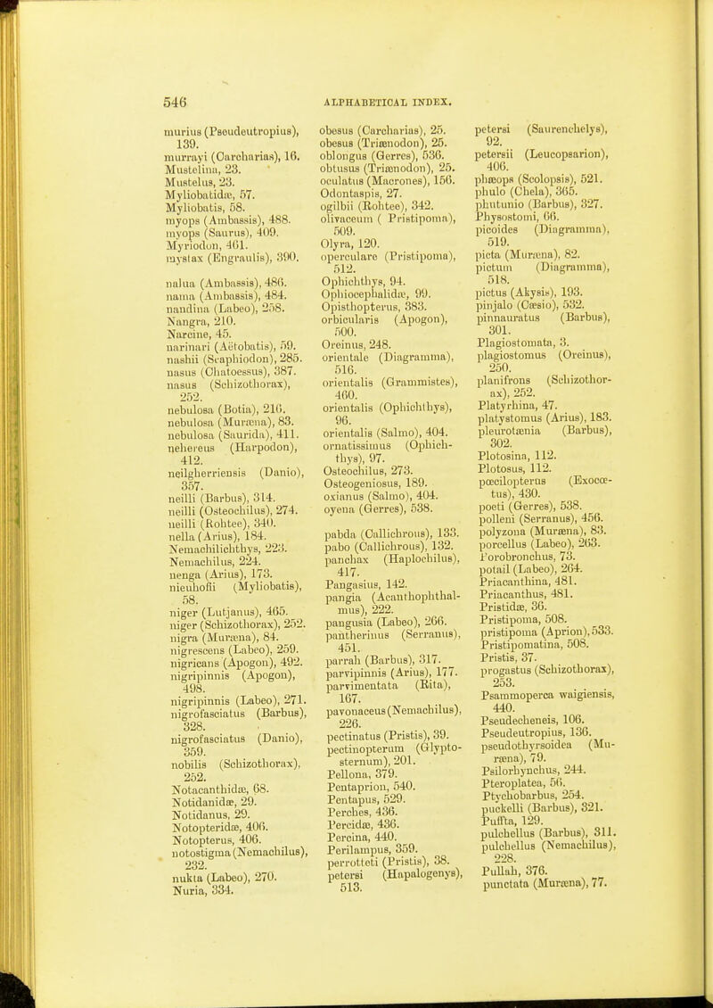 murius (Pseudeutropius), 139. nuirniyi (Ourcharias), 16. Mustclinii, 23. Muatelus, 23. MyliobatidiB, 57. Myliobatis, 58. myoiDs (Arabassis), 488. myops (Saiirus), -109. Myrioduii, 4()1. mystax (Engraulis), .390. nalua (Ambassis), 48(i. naiiia (Ambassis), 484. naiidina (Labeo), 2')8. Hangi'a, 210. Narciue, 45. uai-inafi (Aetobatis), 59. nashii (Soapbiodon), 285. nasus (Oliatoessus), 387. nasus (Schizotborax), 252. nebulosa (Botia), 210. nebulosa (Mui-.tiiia), 83. nebulosa (Saurida), 411. ijehei'eiis (Harpodon), 412. neilgberriensis (Danio), 357. neilli (Barbus), 314. neilli (Osteocbilus), 274. ueilli (Robtee), 340. nella(Anus), 184. Nemaoliilicbtbys, 223. Neiiiacbilus, 224. uenga (Arius), 173. nieubofli (Myliobatis), 58. niger (Lutjanus), 465. uiger (Sohizotborax), 252. nigra (Muvreua), 84. nigresoens (Labeo), 259. nigricans (Apogon), 492. nigripinnis (Apogon), 498. nigripinnis (Labeo), 271. nigrofasoiatus (Barbus), 328. nigrofasoiatus (Danio), 359. nobilis (Scbizotborax), 252. Notacantbidco, 68. Notidanidce, 29. Notidanus, 29. Notopteridaj, 406. Notopterus, 406. notostigma (Nemachilus), 232. nukta (Labeo), 270. Nuria, 334. obesus (Carcbarias), 25. obesus (Tricenodon), 25. oblongus (Qerres), 536. obtusus (Triajnodon), 25. oculatus (Macrones), 156. Odontaspis, 27. ogilbii (Rohtee), 342. olivaceuni ( Pristipoma), .509. Olyra, 120. opercularo (Pristipoma), 512. Ophiohtbye, 94. Opbiocepbalida', 99. Opisthopterus, 383. oi-bioularis (Apogon), 500. Oreinus, 248. orientale (Diagrainma), 516. orientalis (Grammistes), 400. orientalis (Ophiohthys), 96. orientalis (Salmo), 404. ornatissimus (Ophicb- tbys), 97. Osteocbilus, 273. OsteogeniosuB, 189. oxianus (Salmo), 404. oyena (Gerres), 538. pabda (Gallichrous), 133. pabo (Callicbrous), 132. pancbax (Haplocbilus), 417. Pangasius, 142. pangia (Aeantbopbthal- mus), 222. pangusia (Labeo), 266. pantheriuuB (Serraniis), 451. parrah (Barbus), 317. paryipinnis (Arius), 177. parvimeutata (Rita), 167. pavonaceus (Nemachilus), 226. pectinatus (Pristis), 39. pectinopterum (Glypto- sternum), 201. Pellona, 379. Peutaprion, 540. Pentapus, 529. Perches, 436. Percidffi, 436. Percina, 440. Perilampus, 359. perrotloti (Pristis), 38. petersi (Hapalogenys), 613. petersi (Saurenehelys), 92. petersii (Leucopsarion), 406. pliasops (Scolopsis), 521. jjbulo (Chela), 365. phutunio (Barbus), 327. Physostomi, 06. picoidcs (Diagramraa), 519. picta (Muraana), 82. pictum (Diagrainma), 518. pictus (Akysis), 193. pinjalo (Ca?3io), 532. pinnauratus (Barbus), 301. Plagiostomata, 3. plagiostomus (Oreinus), 250. planifrons (Scbizotbor- ax), 252. Platyrhina, 47. platystomus (Arius), 183. pleurotajnia (Barbus), 302. Plotosina, 112. Plotosus, 112. poecilopterus (Exocoe- tus), 430. poeti (Gerres), 538. polleni (Serranus), 456. polyzona (Muriena), 83. porcellus (Labeo), 203. Porobronchus, 73. polail (Labeo), 264. Priacanthina, 481. Priacantbus, 481. Pristidas, 36. Pristipoma, 508. pristipoma (Aprion), 533. Pristipomatina, 508. Pristis, 37. progastus (Scbizothoras), 253. Psaramoperca waigiensis, 440. Pseudecheneis, 106. Pseudeutropius, 136. pseudothyrsoidea (Mu- rsena), 79. Psilorhyncbus, 244. Pteroplatea, 5(5. Ptychobarbus, 254. puckelli (Barbus), 321. Puffta, 129. pulchellus (Barbus), 311. pulcbellus (Nemachilus), 228. PuUah, 376. punctata (Murtena), 77.