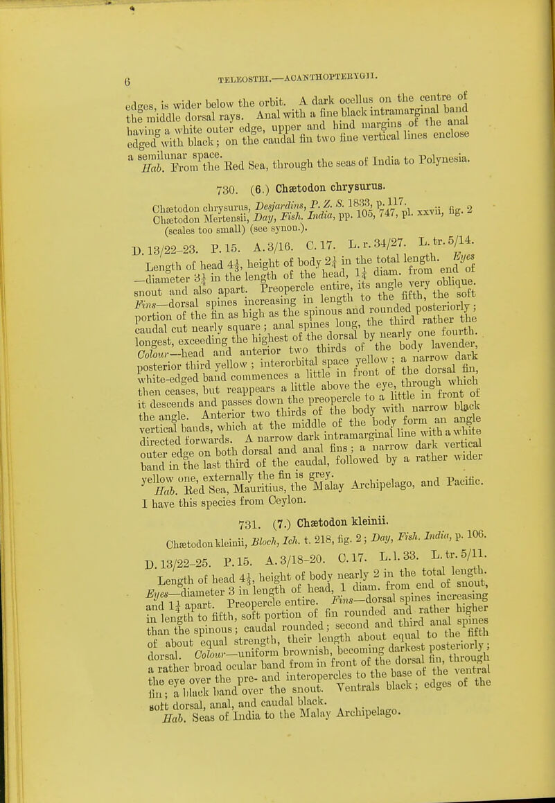 Q TELEOSTKI.—A0AN'XH0PTEE\GJ1.  'S'T„,KBea Se., ftrougl, the ^ of Mia to Polyne.i.. 730. (6.) Chsetodon chrysurus. Clisetodou cbrysuvus, Besjardms, P. Z. S. 1833 p. 117. (scales too small) (see synon.). D 13/22-23. P.15. A.3/16. C. 17. L.r.34/27. L.tr.5/14. 'Lengll, ot head 4J, height of bod, 2} m the tot^ ^ b^/rhigh-^^^^^^^ CoL.-hea<l .nd anterior t.o thu-ds of the '^J ^ no^tetior third Tello>v ; iiiterorbilal space yellow ; a iiariow aa» ?S edg« bald commence,, a little in trout of 6j then ceies, but reappears a little 'I'/f,':, f,'T/''J^'* L'wf tt^r'trTj^^TIStl;ifoarrot '«dter£««?te'M5ay Archipelago, and Paciic. I have this species from Ceylon. 731. (7.) Chsetodon kleinii. Ch^todonkleinii, Block, Ich. t. 218, fig. 2; JDay, Fish. India, p. 106. D. 13/22-25. P. 15. A. 3/18-20. 0.17. L.1.33. L tr.5/11. Tpnffth of head 4^ height of body nearly 2 in the total length S abtt ^equal Strength, their length ^i^^^^,^, dorsal. C7oZoMr-uuiform brownish, becoming darlvest PO^^^ ^^^J^ frather broad ocular band.fi-om in ^-t of the do.a hn th n h the eye over the pre- and ^t«™f ^^^^^^^^^^^^^^^^^^^ .° ed.es of the lin ; a lilack hand over the snout. Ventials blacK , eu„ Bolt dorsal, anal, and caudal black. Hah. Seas of Lidia to the Malay Archipelago.