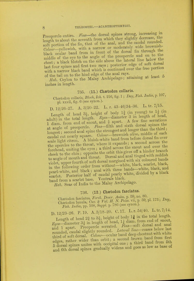 Preopercle entire. Fhu-the dorsal spines steoBg, if ^reasmg m leuSh to about the seventh from which they slightly decrease, the sofpo -tion of the fin, that of the anal, and the caudal rounded. SL«°-vellovvish, with a narrow or moderately wide brown.sh- S ocff band from in front of the dorsal fin through he middle oE the eye to the angle of the preopercle and on to the best a black bUh on the'side above the, lateml 1- bo ow the fast fmir spines and first two rays; posterior '^^'g^ with a narrow black baud which is continued over the free poition of the tail on to the hind edge of the anal rays . g Hab. Ceylon to the Malay Archipelago; attaining at least & inches in length. 735. (11.) Chsetodon coUaris. Cha^todon coUaris, Block, Ich. t. 216, fig. 1 ; Day, Fish. India, p. 107, pi. xxvii, fig. 6 (see synon.). D 12/26-27. A. 3/20-22. L. r. 43-46/3^36. L. tr. 7/15. Length of head 3|, height of body 1| (^^y^^^g),*^^!^? band from a scarlet base. Yentrals black. Hab. Seas of India to the Malay Archipelago. 736 (12.) Chsetodon fasciatus. Fish. India, pp. 108, Suppl. p- 78G (see syuon.). D 12/23-26. P. 19. A. 3/18-20. C.17. L.r. 54/40. L.tr.7/14. T,^iigth of head 2f to 3^ height of body If iu the total length. and 61^1 dorsal spines gradually widens and goes as low as base of