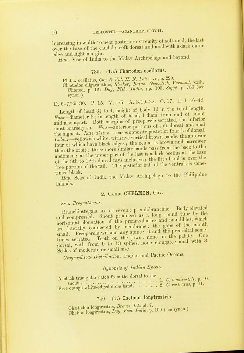 increasing in width to near posterior extremity ol' soft anal, the last over the base of the caudal; soft dorsal and anal with a dark outer edge and light margin. , , . , i i a Hah. Seas of India to the Malay Archipelago and heyond. 739. (15.) Chaetodon ocellatus. Platax ocellatus, Ouv. <^ Val. H. N Foiss Vn, p. 229 Chffitodou olio-acanthus, Bleeker Batav. Genootsch. Vf^^^f y^'^l Chcetod. p? IG; Bay, Fish. India, pp. 109, &uppl. p. /86 (see synon.). D. 6-7/29-30. P. 15. V. 1/5. A. 3/19-22. C. 17. L. 1. 46-18. Length of head 3f to 4, height of body H in the total length i?^t-diameter 3| in length of head, 1 diam. ^^-^ f f J and also apart. Both margins of Pi-«^oP«'-'^l'^/^^-L*f'^^^^^^^ most coarsely so. i^ms-anterior portions of soft dorsal and anal the highest. Lateral Une-ceases opposite posterior f^^h f doisal. (7oZou^-yellowish white, with five vertical brown bauds, the anteiio lot of wMch have black edges ; the ocular is b-wn and narro.^r than the orbit; three more similar bands pass rom he back t^he abdomen ; at the upper part of the last i« a dark ocel us at the base of the 8th to 12tb dorsal rays inclusive ; the fifth band is over tUe See portion of the tail. The posterior half of the ventrals is some- ^Zb!t^s of India, the Malay Archipelago to the PhiHppine Islands. 2. Genus CHELMON, Ouv. Syn. Prof/nathodus. Branchiostegals six or seven: pseudobranchia). Body elevated and compressed. Snout produced as a long round tube by the 'horiS elongation of the premaxiUaries and mandibles, wh ch 're laterally connected by membrane; the gape of he mouth lal Preopercle without any spine: it and the preorbit.l some- Ws serrated. Teeth on the jaws ; none on the palate. One S, with from 9 to 13 spines, none elongate; anal w.th 3. Scales of moderate or small size. Geographical Distribution. Indian and Pacific Oceans. Synopsis of Indian Species. A black triangular patch from the dorsal to the ^ ^ j^^,^^,^^ p. iQ. FiveTang; wHtV-;dg;d cro'ss VandV ::: 2. a rostratus, p. U. 740. (1.) Chelmon longirostris. ChiBtodonlongii^stris ^rojm 7J. j.y 7. Ohelmo longirostris, Day, I'l^li. maia, p. lyj^ j