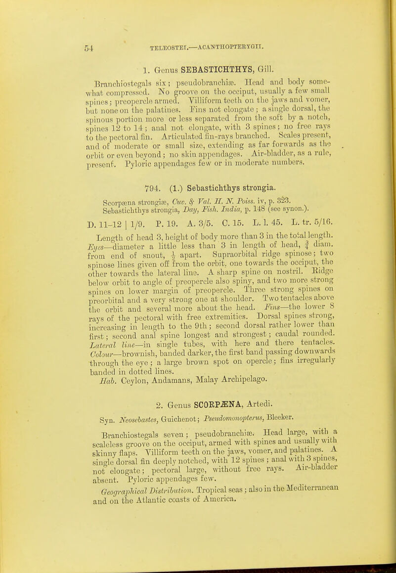 54- TETiUOSTEI.—ACANTiiorxEnyaii. 1. Genus SEBASTICHTHYS, Gill. Branch]ostegals six; pseudobranchiro. Head and body sonie- wliat compressed. No grooA'e on the occiput, usually a few small spines; preopercle armed. Villiform teeth on the jaws and vomer, but none on the palatines. Pins not elongate ; a single dorsal, the spinous portion more or less separated from the soft by a notch, spines 12 to 14; anal not elongate, with 3 spines; no free rays to the pectoral fin. Articulated fin-rays branched. Scales present, and of moderate or small size, extending as far forwards as the orbit or even beyond; no skin appendages. Air-bladder, as a rule, presenf. Pyloric appendages few or in moderate numbers. 794. (1.) Sebastichtliys strongia. Scorpa3na strongia3. Ciw. 8f Val. II. N. Poiss. iv, p. 323. Sebastichtliys strougla, Dm/, Fish. India, p. 148 (see synon.). D. 11-12 I 1/9. P. 19. A. 3/5. C. 15. L. 1. 45. L. tr. 5/16. Length of bead 3, height of body more than 3 in the total length. Eyes—diameier a little less than 3 in length of head, | diam. from end of snout, i apart. Supraorbital ridge spinose; two spiuose lines given off !rom the orbit, one towards the occiput, the other towards the lateral line. A sharp spine on nostril. Eidge below orbit to angle of preopercle also spiny, and two more strong spines on lower margin of preopercle. Three strong spines on preorbital and a very strong one at shoulder. Two tentacles above the orbit and several more about the bead. Fhis—the lower 8 rays of the pectoral with free extremities. Dorsal spines strong, increasing in length to the 9th; second dorsal rather lower than first; second anal spine longest and strongest; caudal rounded. Lateral line—in single tubes, with here and there tentacles. C'oZatir—brownish, banded darker, the first band passing downwards through the eye ; a large brown spot on opercle; fins irregularly banded in dotted lines. Hab. Ceylon, Audamans, Malay Archipelago. 2. Genus SCOIIP.ENA, Artedi. Syn. Neosebastes, Guichenot; PWo«!owoptenw, Bleeker, Branchiostegals seven; pseudobrauchiffi. Head large, with a scaleless groove on the occiput, armed with spmes and usually with skinny flaps. Yilliform teeth on the jaws, vomer, and palatnies. A sin-le dorsal fin deeply notched, with 12 spines ; anal with 3 spines, not elongate; pectoral large, without free rays. Au--bladcler absent. Pyloric appendages few. Geocp-apldcal Distribution. Tropical seas; also in the llediterraneau and on the Atlantic coasts of America,