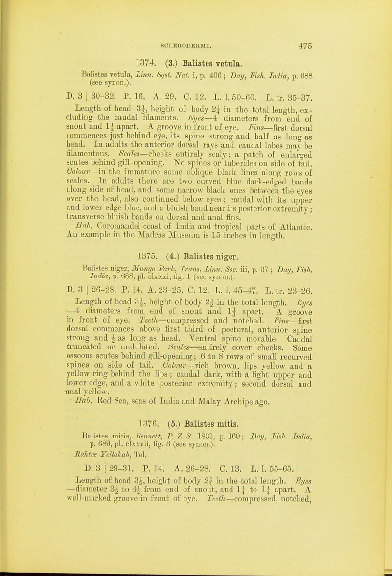 1374. (3.) Balistes vetula. Balistes vetula, Linn. Si/st. Nat. i, p. 40G ; Dmj, Fish. India, p. 688 (see synon.). D. 3 I 30-32. P. 16. A. 29. C. 12. L. 1. 50-60. L. tv. 35-37. Length of head 3|, height- of body 2^ in the total length, ex- cluding the caudal lilameuts. Eyes—4 diameters from end of snout and 1^ apart. A groove in front of eye. Fins—first dorsal commences just behuid eye, its spine strong and half as long as head. In adults the anterior dorsid rays and caudal lobes may be filamentous. Sccdes—cheeks entirely scaly; a patch of enlarged scutes behind gill-opening. No spines or tubercles on side of tail. Colour—in tlie immature some oblique blacit Hues along rows of scales. In adidts there are two curved blue dark-edged bands along side of head, and some narrow black ones between the eyes over the head, also continued below eyes; caudal with its upper and lower edge blue, and a bluish band near its posterior extremity; ti'ansverse bluish bands on dorsal and anal fins. Bab. Coromandel coast of India and tropical parts of Atlantic. An example in the Madras Museum is 15 inches in length. 1375. (4.) Balistes niger. Balistes niger, Munr/o Park, Trans. Linn. Soc. iii, p. 37 ; Dai/, Fish. India, p. 688, pi. clxxxi, lig. 1 (see synon.). D. 3 I 26-28. P. 14. A. 23-25. C. 12. L. 1. 45-47. L. tr. 23-26. Length of head 3|, height of body 2^ in the total length. Eyes —4 diameters from end of snout and Ij apart. A groove in front of eye. Teeth—compressed and notched. Fins—first dorsal commences above first third of pectoral, anterior spine strong and | as long as head. Ventral spine movable. Caudal truncated or undulated. Scales—entirely cover cheeks. Some osseous scutes behind gill-opening; 6 to 8 rows of small recurved spines on side of tail. Oolour—rich brown, lips yellow and a yellow ring behind the lips; caudal dark, with a light upper and lower edge, and a white posterior extremity; second dorsal and ■anal yellow. Bah. Eed Sea, seas of India and Malay Archipelago. 1376. (5.) Balistes mitis. Balistes mitis, Bennett, P. Z. S. 1831, p. 169; Bay, Fish. India, p. 689, pi. clxxvii, fig. 3 (see synon.). Ealitee YeUakah, Tel. D. 3 I 29-31. P. 14. A. 26-28. C. 13. L. 1. 55-65. Length of head 3|, height of body 2| in the total length. Eyes —dinmeter 3| to 4,| from end of snout, and Ij to 1;| apart. A well-marked groove in front of eye. Teeth—compressed, notched,