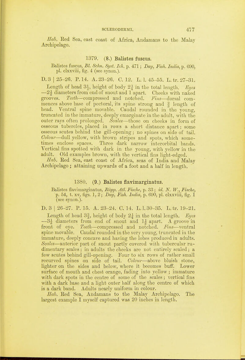 Hah. Eed Sea, east coast of Africa, Andamaus to tlie Malay Archipelago. 1379. (8.) Balistes fuscus. Balistes fuscus, Bl. Sclin. Syst. Ich. p. 471; Bay, Fish. India, p. GOO, pi. clxxviii, fig. 4 (see synon.). D. 3 I 25-26. P. 14. A. 23-26. C. 12. L. 1. 45-55. L. tr. 27-31. Length of head 3i, height of body 2^ in the total length. Eyes —2k diameters from end of suout and 1 apart. Cheeks with naked grooves. Teeth—compressed and notched. Fins—dorsal com- mences above base of pectoral, its spine strong and | lengtli of head. Ventral spine movable. Caudal rounded in the young, truncated iu the immatm-e, deeply emargiuate in the adult, with the outer rays often prolonged. Scales—those on cheeks in form of osseous tubercles, placed in rows a short distance apai't; some osseous scutes behind the gill-opening; no spines on side of tail. Colour—dull yellow, with brown stripes and spots, which some- times enclose spaces. Three dark narrow interorbital bands. Vertical fins spotted with dark in the young, with yellow in the adult. Old examples brown, with the vertical fins light-edged. Hab. Eed Sea, east coast of Africa, seas of India and Malay Archipelago ; attaining upwards of a foot and a half in length. 1380. (9.) Balistes flavimarginatus. Balistes flavimarginatus, Ei'tpp. Ail. Fische, p. 33 ; id. N. W., Fische, p. 54, t. XV, figs. 1, 2; Day, Fish. India, p. 690, pi. clxxviii, fig. 1 (see syuon.). D. 3 I 26-27. P. 15. A. 23-24. C. 14. L. 1.30-35. L. tr. 19-21. Length of head 3|, height of body 2| in the total length. Eyes —3| diameters from end of snout and 1 ^ apart. A groove in front of eye. Teetli—compressed and notched. Fins—ventral spine movable. Caudal rounded in the very young, truncated iu the immature, deeply concave and having the lobes produced in adults. Beetles—anterior part of snout partly covered with tubercular ru- dimentary scales; in adults the cheeks are not entii-ely scaled; a few scutes behind gill-opening. Pour to six rows of rather small recurved spines on side of tail. Colour—above bluish stone, lighter on the sides and below, where it becomes bufi'. Lower surface of mouth and chest orange, fading into yellow ; immature with dark spots in the centre of some of the scales ; vertical fins with a dark base and a light outer half along the centre of which is a dark band. Adults nearly uniform in colour. Hab. Eed Sea, Andamans to the Malay Ai'chipelago. The largest example I myself captured was 20 inches in length.