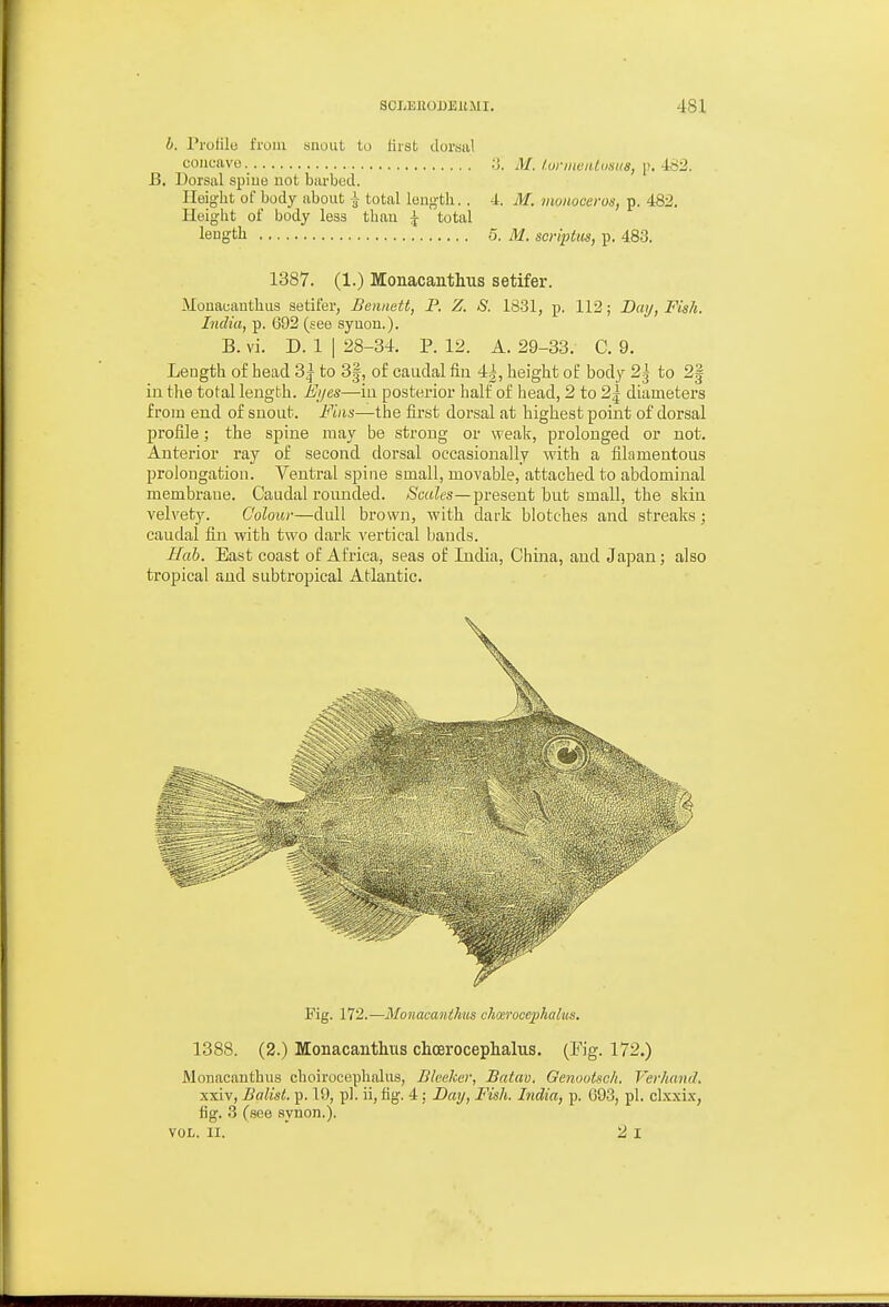 b. I'rolili) from snout to lirst dorsal concave ;J. M. l.unneiUnsus, \\ B. Dorsal spiue not biirbod. Ileig-lit of body about ^ total long-th. , 4. M. monoceros, p. 482. Height of body leas than ^ total length 5. M. scriptus, p. 483. 1387. (1.) Monacanthus setifer. Monauantliiis setifer, Bennett, P. Z. S. 1331, p. 112; Dai/, Fish. India, p. 692 (see synon.). B. vi. D. 1 I 28-34. P. 12. A. 29-33. C. 9. Length of head 3^^ to 3|, of caudal fin 4|, height of body 2g to 2| in the total length. Eij&s—iu posterior half of head, 2 to 2| diameters from end of suoiit. Fins—the first dorsal at highest point of dorsal profile; the spine may be stroug or weak, prolonged or not. Anterior ray of second dorsal occasionally with a filamentous prolongation. Ventral spine small, movable, attached to abdominal membrane. Caudal I'ounded. Scales—present but small, the skin velvety. Colour—dull brown, with dark blotches and streaks ; caudal fin with two dark vertical bands. Mab. East coast of Africa, seas of India, China, and Japan; also tropical and subtropical Atlantic. Pig. 172.—Monacanthus chmrocephalus. 1388. (2.) Monacanthus choeroceplialus. (Fig. 172.) Monacanthus choiroceplialua, Bteeker, Batav. Genootscli. VerhaufJ. xxiv, Balisl. p. 19, pi. ii, fig. 4; Day, Fish. India, p. 093, pi. cLxxix, fig. 3 (see synon.). VOL. II. 2 I