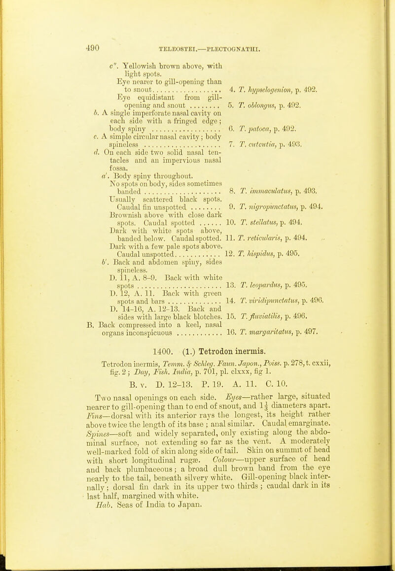 c. Yellowish 'brown above, ■witli light spots. Eye nearer to giU-opening than to snout 4. r. hyjmlogenion, p. 492. Eye equidistant from gill- opening and .snout 5. T. oblongus, p. 402. h. A sLugle imperforate nasal cavity on each side with a fringed edge; body spiny G. T. pafocn, p, 492. c. A simple circular nasal cavity; body spineless 7. T. cutcutia, p. 493. d. On each side two solid nasal ten- tacles and an impervious nasal fossa. Body spiny throughout. No spots on body, sides sometimes banded 8. T. immacidatus, p. 493. Usually scattered black spots. Caudal fin unspotted Q. T. nigropimctatus, p. 494, Brownish above with close dark spots. Caudal spotted 10. T. stellatics, p. 494. Dark with white spots above, banded below. Caudal spotted. 11. T. ?-e<«Wnm, p. 494. Dark with a few pale spots above. Caudal unspotted 12. 2. Mspidiis, p. 495. b'. Back and abdomen spiny, sides spineless. D. 11, A. 8-9. Back with white spots 13. T. leoinirdus, p. 495. D. 12, A. 11. Back with green spots and bars 14. T. viridipimdatus, p. 49G. D. 14-16, A. 12-13. Back and sides with large black blotches. 15. T. fluvialilis,^. ^^Q, B. Back compressed into a keel, nasal organs inconspicuous 16. T. margantatm, p. 497. 1400. (1.) Tetrodon inermis. Tetrodon inermis, Temtn. Sf Schleg. Faun. Jcqion., Poiss. p. 278,t. cxsii, fig. 2 ; Day, Fish. India, p. 701, pi. clxxx, fig 1. B. V. D. 12-13. P. 19. A. 11. C. 10. Two nasal openings on each side. Eyes—rather large, situated nearer to gill-opening than to end of snout, and Ij diameters apart. i^'Mis—dorsal with its anterior rays the longest, its height rather above twice the length of its base ; anal similar. Caudal emarguiate. Spines—soft and widely separated, only existing along the abdo- minal surface, not extending so far as the vent. A moderately well-marked fold of skin along side of tail. Skm on summit of head with short longitudinal rugse. CoZotw-—upper surface of head and bade plumbaceotis; a broad dull brown band from the eye nearly to the taU, beneath silvery white. Gill-opening black inter- nally; dorsal fiji darlc in its upper two thirds ; caudal dark in its last half, margined with white. Hah. Seas of India to Japan.