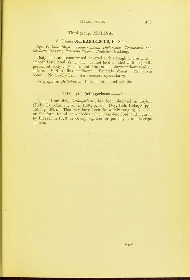 Third group. MOLINA. 5. Genus ORTHAGORISCUS, Bl. Schn. Syn. Cephalus, Sliaw; Tijmpanomiim, Diplanchias, Trematopsis, and Ozodm-a, Ranzani; Ranzania,'^hvAo ; Pmdalion, Guilding. Body short and compressed, covered with a rough or else with a smooth tessellated sldn, which cannot be distended with air; tail- portion of body very short and truncated. Jaws without median suture. Vertical fins confluent. Veutrals absent. No pelvic bones. No air-bladder. An accessory opercular gill. Geograjpldcal Distribution. Cosmopolitan and pelagic. 1418. (1.) Orthagoriscus ? A small sun-fish, Orthagoriscus, has been observed in Ceylon (Haly, Taprobauian, vol. ii, 1888, p. 165; Day, Fish. India, 8uppl. 1888, p. 809). This may have been the widely ranging 0. mola, or the form found at Araboina which was described and figured by Bleeker in 1873 as 0. oaiyuropterus, or possibly a nondescript species. 2x2