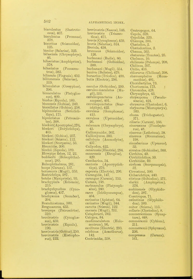 biaciileatus (Gastroto- ceus), 4G7. biaculeatus (Prcmuas), 378. biaui'itua (SciajuoideB), 125. bicolor (Salarias), 323. bil'aaciata (Ohi-ysopbrys), bifasoiatus (Ampliiprion), 378. bifasciatu3 (PomacGii- trus), 383. bilineata (Plagusia), 452. bilitononsis (Salarias), 319. bilunulatus (Cossyplius), 396. ' bimaculatus (Platyglos- sus), 409. binduB (Bquula), 189. biuoeuais (Gobius), 249. biocellatus (Q-obius), 258. bipinnulatus (Seriolich- tbys), 171. bipiinotatLis (Petroscir- tes), 308. bleel(eri(Apoci7ptes),276. bleekeri (Dorvichtiiye), 465. bleekeri (Gobius), 257. bleekeri (Scicena), 112. bleekeri (Seorpajna), 55. BleuniidiB, 306. blochii (Equula), 189. Blowpipe fishes, 12, 22. boddaerti (Boleopbthal- mus), 285. Boleopbtbalmus, 281. boops (Oaranx), 157. borneensis (Mugil), 353. Bostriohtbys, 287. botcbe (filyripristis), 93. braohifptera (Ecbeneis), 215. bracbyrhyncbus (Oyno- glossus), 457. bracbysoma (Scomber), 204. Branchiostoma, 500. Bregmaceros, 433. breviceps (Petroscirtes), 310. brevirostris (Cynoglos- sus), 459. brevirostris (Equula), 190. brevirostris (Gobius), 250. brevirostris (Histiopbo- rus), 122. brevirostris (Naseus), 146. brevirostris (Triacan- tbus), 471. brevis (Oyiioglossus), 459. brovis (Salarias), 314. Brotula, 434. brunnous (Sciajnoides), 126. bucbanani (Badis), 80. buobanani (Gobioides), 300. buobanani (Mugil), 354. buuiva (Balistes), 479. bursarius (Triodon), 488. butis (Eleotris), 296. cajculus (Gobioides), 299. creriileo-iuaculatus (Mu- gil), 351. cajruleopunctatus (An- ampses), 401. creruleopuuctatus (Scar- ichtbys), 422. ca;ruleus (Gompbosus), 415. cteruleus (Upeneoides), 26. calamara (Chrysopbrys), 45. Calliouymidic, 302. Oallionyinus, 303. callolepis (Amraodytes), 437. Callyodon, 422. canareusis (Eleotris), 294. canarensis (Etroplus), 429. Oantbarina, 34. cantoris (Apocryptich- tbys), 279. caperata (Eleotris), 296. Oarangidas, 147. oarangus (Caranx), 153. Caranx, 148. carbuneulus (Platyoeph- alus), 240. caroe (Icbtbyocampus), 464. carinatus (Ajjistus), 64. oarinatus (Mugil), 344. carulta (Sciajna), 122. cascasia (Mugil), 351. Catapbracti, 242. Catopra, 84. caudimaculatum (Holo- centrum), 96. cavifrons (Eleotris), 293. colebicus (Acantburus), 142. Ceutrisoidoj, 358. Centropogon, 64. Cepola, 329. Oopolidffi, 329. Oliajrops, 394. Chajtodon, 2. Cba;todontina, 2. Obanna, 365. cliatareus (Toxotes), 23. Obelmon, 10. cbiliensis (Pelaniys), 208. Ohilinus, 397. Obilio, 416. cblorurus (Cbiliuus), 398. cboerocephalus (Mona- canthus), 481. Choridaotylus, 73. Chorinemus, 173. i Obromides, 428. Obrysopbrys, 43. chrysopoma (Pseudo- scarus), 424. chrysurus (Choetodon), 6. chrysurus (Mieropteryx), 169. chuna (Tricbogaster), 371. ciliaris (Caranx), 166. ciuerascens (Pimelepte- ^ rus), 48. ciuereus (Letbrinus), 38. cinereus (Stromateus), 198. oinuabarinus (Upeneus), 33. oirratus (Gobioides), 300. Oirrhites, 49. Cirrbitichtbye, 50. Oirrbitida;, 49. cirrboaa (Scorpajnopsis), 57. Oirrostomi, 500. Oitbariebtbys, 440. citrinus (Gobiodon), 271. clarkii (Ampbiprion), 376. coobinensis (Glypbido- don), 387. Cocotropus, 71. ccelestinus (Glypbido- don), 389. coitor (Sciaina), 115. coUaris (Chajtodon), 8. commersoniaua (Synap- tiu-a), 448. commersonii (Cybium), 211. commersonii (Spbvrajna), 336. comijressus (Oaranx), 161.