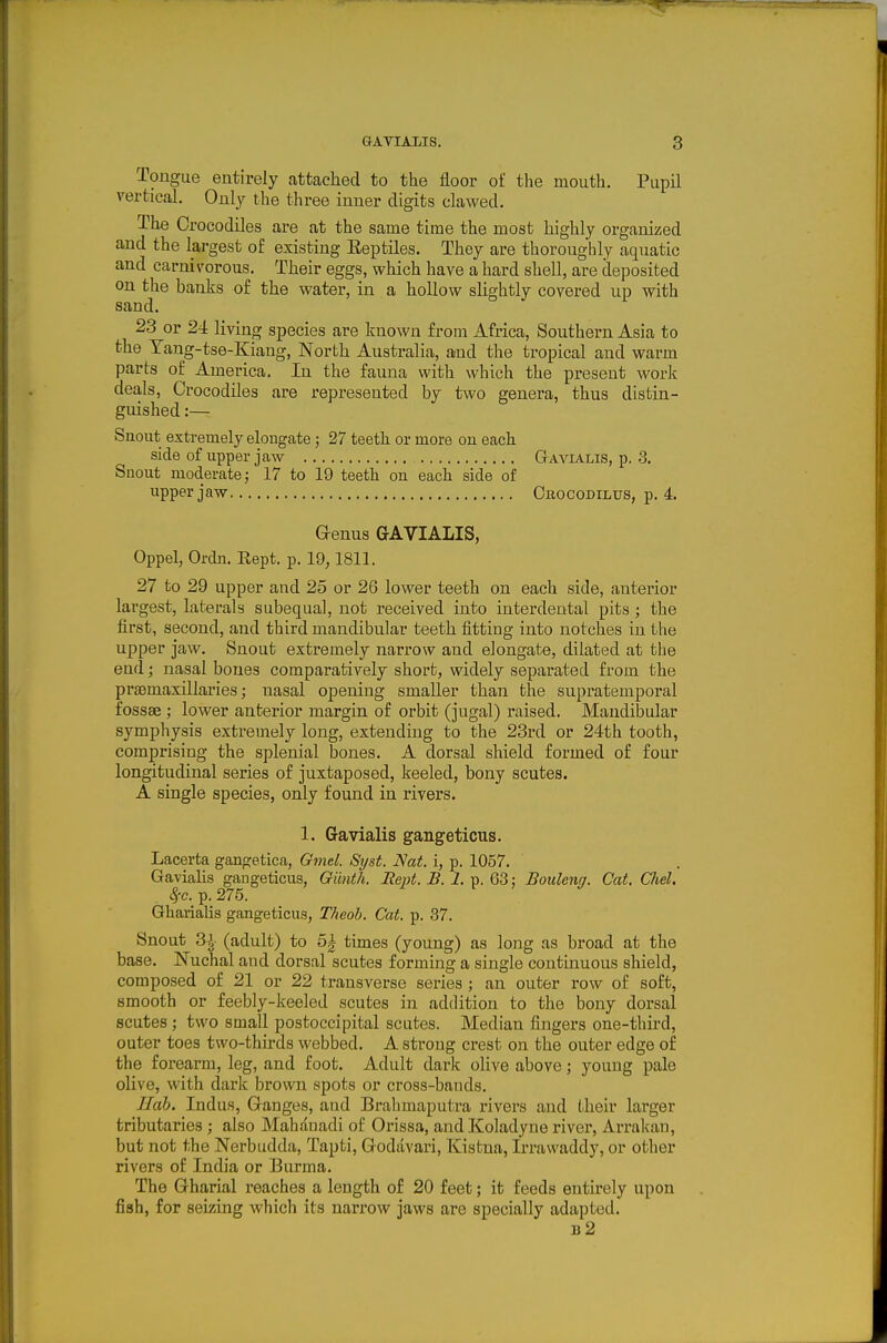 Tongue entirely attached to the floor of the mouth. Pupil vertical. Only the three inner digits clawed. The Crocodiles are at the same time the most highly organized and the largest of existing Eeptiles. They are thoroughly aquatic and carnivorous. Their eggs, which have a hard shell, are deposited on the banks of the water, in a hollow slightly covered up with sand. 23 or 24 living species are known from Africa, Southern Asia to the Tang-tse-Kiaug, North Australia, and the tropical and warm parts of America. In the fauna with which the present work deals. Crocodiles are represented by two genera, thus distin- guished :— Snout extremely elongate; 27 teeth or more on each side of upper jaw Gavialis, p. 3. Snout moderate; 17 to 19 teeth on each side of upper jaw Crocodilus, p. 4. Genus GAVIALIS, Oppel, Ordn. Rept. p. 19,1811. 27 to 29 upper and 25 or 26 lower teeth on each side, anterior largest, laterals subequal, not received into interdental pits; the first, second, and third mandibular teeth fitting into notches in the upper jaw. Snout extremely narrow and elongate, dilated at the end; nasal bones comparatively short, widely separated from the prsemaxillaries; nasal opening smaller than the supratemporal fossae ; lower anterior margin of orbit (jugal) raised. Mandibular symphysis extremely long, extending to the 23rd or 24th tooth, comprising the splenial bones. A dorsal shield formed of four longitudinal series of juxtaposed, keeled, bony scutes. A single species, only found in rivers. 1. Gavialis gangeticus. Lacerta gangetica, Gmel. 8yst. Nat. i, p. 1057. Gavialis gaugeticus, Qiinth. Rept. B. 1. p. 63; BouUng. Cat. Chel. ^c. p. 275. Gharialis gangeticus, Theob. Cat. p. 37, Snout 3^- (adult) to 5| times (young) as long as broad at the base. ISTuchal and dorsal scutes forming a single continuous shield, composed of 21 or 22 transverse series ; an outer row of soft, smooth or feebly-keeled scutes in addition to the bony dorsal scutes; two small postoccipital scutes. Median fingers one-third, outer toes two-thirds webbed. A strong crest on the outer edge of the forearm, leg, and foot. Adult dark olive above; young pale olive, with dark brown spots or cross-bauds. Hob. Indus, Ganges, and Brahmaputra rivers and Lheir larger tributaries ; also Mahauadi of Orissa, and Koladyne river, Ai-rakau, but not the Nerbudda, Tapti, Godavari, Kistna, Irrawaddy, or other rivers of India or Burma. The Gharial reaches a length of 20 feet; it feeds entirely upon fish, for seizing which its narrow jaws are specially adapted. b2