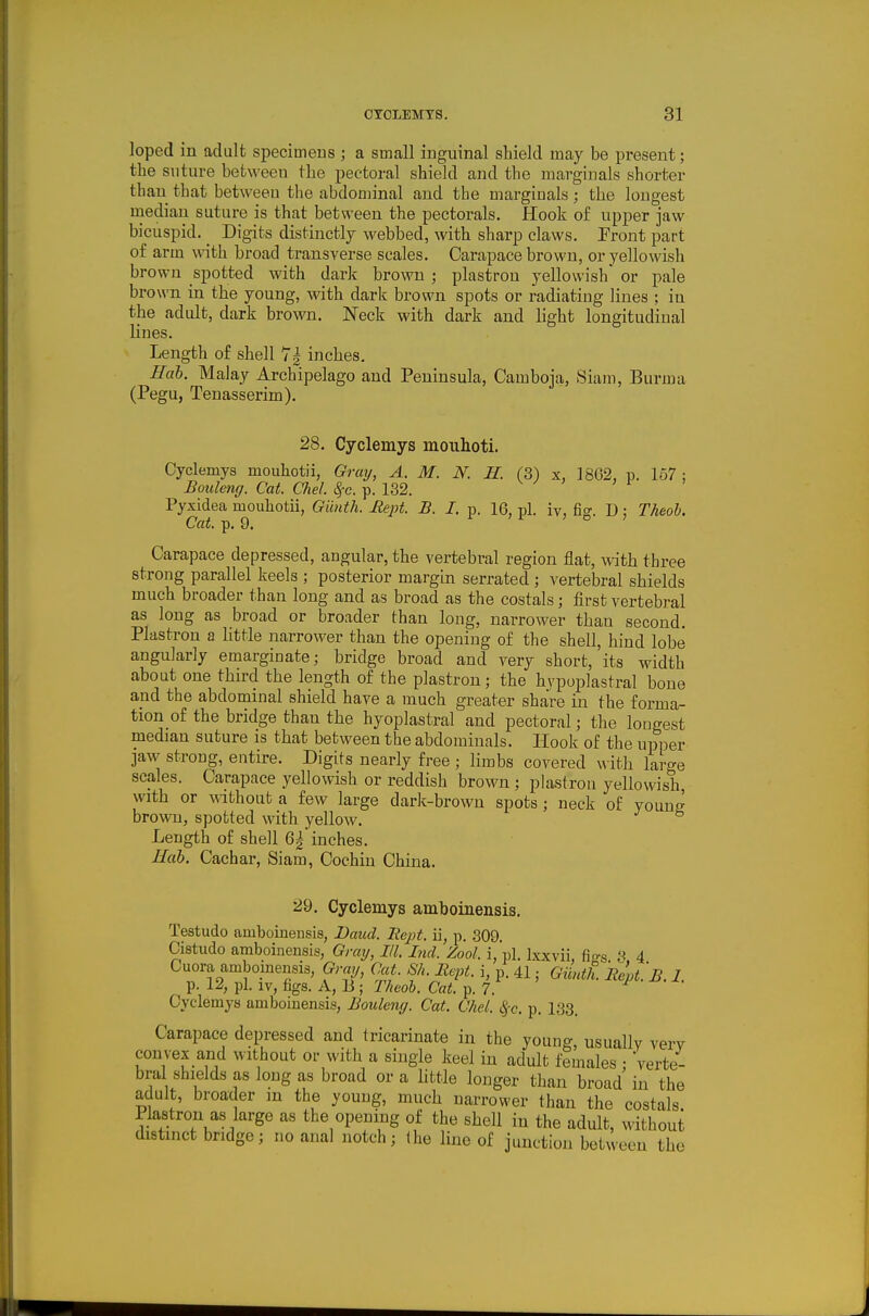 loped in adult specimens ; a small inguinal shield may be present; the siitin-e between the pectoral shield and the marginals shorter than that between the abdominal and the marginals; the longest median suture is that between the pectorals. Hook of upper jaw bicuspid. _ Digits distinctly webbed, with sharp claws. Front part of arm with broad transverse scales. Carapace brown, or yellowish brown spotted with dark brown ; plastron yellowish or pale brown in the young, with dark brown spots or radiating lines ; in the adidt, dark brown. Neck with dark and light longitudinal lines. Length of shell 7g inches. Hah. Malay Archipelago and Peninsula, Camboja, Siam, Burma (Pegu, Tenasserim). 28. Cyclemys mouhoti. Oyclemys mouhotii, Gray, A. M. N. H. (3) x, 18G2, p. 157 ; Bouleng. Cat. Chel. Sfc. p. 132. Pyxidea mouhotii, Giinth. Rept. B. I. p. 16, pi. iv, fi^. D ; Theoh. Cat. p. 9. r ; 1 ; D > Carapace depressed, angular, the vertebral region ilat, with three strong parallel keels ; posterior margin serrated ; vertebral shields much broader than long and as broad as the costals; first vertebral as long as broad or broader than long, narrower than second. Plastron a little narrower than the opening of the shell, hind lobe angularly emarginate; bridge broad and very short, its width about one third the length of the plastron; the hvpoplastral bone and the abdominal shield have a much greater share in the forma- tion of the bridge than the hyoplastral and pectoral; the longest median suture is that between the abdominals. Hook of the upper jaw strong, entire. Digits nearly free ; limbs covered \\ith large scales. Carapace yellowish or reddish brown ; plastron yellowish with or without a few large dark-brown spots; neck of young brown, spotted with yellow. Length of shell 6|'inches. Hah. Cachar, Siam, Cochin China. 29. Cyclemys amboinensis. Testudo amboiuensis, Baud. Hejjt. ii, p. 309. Cistudo amboinensis, Graij, III. Ind. Zool. i, pi. Ixxvii, fi^s 3 4 Cuora amboinensis, Gray, Cat. Sh. llcpt. i, p. 41; Gmdh. liLt'.B. 1 p. 12, pi. IV, tigs. A, B; Theoh. Cat. p. 7. r • Cyclemys amboinensis, Bouleng. Cat. Chel. i^-c, p. 133. Carapace depressed and tricarinate in the young, usually very convex and without or with a single keel in adult females : Verte- bral shields as long as broad or a little longer than broad in the adult, broader m the young, much narrower than the costals. Plastron as large as the opening of the shell in the adult, without distinct bridge; no anal notch; Ihe line of junction between the