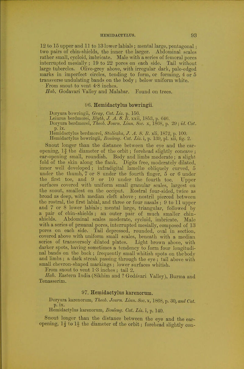 12 to 15 upper and 11 to 13 lower labials; mental large, pentagonal; two pairs of chin-shields, the inner the larger. Abdominal scales rather small, cycloid, imbricate. Male with a series of femoral pores interrupted mesially; 19 to 22 pores on each side. Tail withoiit large tubercles. Olive-grey above, with irregular dark, pale-edged marks in imperfect circles, tending to form, or forming, 4 or 6 transverse vmdulating bands on the body ; below uniform white. • Prom snout to vent 4-8 inches. Uab. Grodavari Valley and Malabar. Found on trees. 96. Hemidactylus bowringii. Doryiira bowringii, Gray, Cat. Liz. p. 156. Leiurus berdmorei, Blyth, J. A. S. B. xxii, 1853, p. 646. Doryura berdmorei, Theob. Journ. Linn. Soc. x, 1868, p. 29 ; id. Cat. p. ix. Hemidactylus berdmorei, Stoliczka, J. A. S. B. xli, 1872, p. 100. Hemidactylus bowriugii, Bouleng. Cat. Liz. i, p. 139, pi. xii, fig. 2. Snout longer than the distance between the eye and the ear- opening, 1| the diameter of the orbit: forehead slightly concave ; ear-opening small, roundish. Body and limbs moderate; a slight fold of the skin along the flank. Digits free, moderately dilated, inner well developed; infradigital lamellae obliquely curved, 5 under the thumb, 7 or 8 under the fourth finger, 5 or 6 under the first toe, and 9 or 10 under the fourth toe. Upper surfaces covered with uniform small granular scales, largest on the snout, smallest on the occiput. Eostral four-sided, twice as broad as deep, with median cleft above ; nostril pierced between the rostral, the first labial, and three or four nasals ; 9 to 11 upper and 7 or 8 lower labials j mental large, triangular, followed by a pair of chin-shields; an outer pair of much smaller chin- shields. Abdominal scales moderate, cycloid, imbricate. Male with a series of prseanal pores, interrupted mesially, composed of 13 pores on each side. Tail depressed, rounded, oval in section, covered above with uniform small scales, beneath with a median series of transversely dilated plates. Light brown above, with darker spots, having sometimes a tendency to form four longitudi- nal bands on the back ; frequently small whitish spots on thebody and limbs ; a dark streak passing through the eye ; tail above with small chevron-shaped markings ; lower surfaces' whitish. From snout to vent 1-3 inches ; tail 2. Hah. Eastern India (Sikhim and ? Godavari Valley), Burma and Tenasserim. 97. Hemidactylus karenorum. Doiyura karenorum, Theob. Journ. Linn. Soc. x, 1868, p. 30, and Cat. p. ix. Hemidactylus karenorum, Boulewj. Cat. Liz. i, p. 140. Snout longer than the distance between the eye and the ear- openii]g, 1^ to If the diameter of the orbit; forehead slightly con-