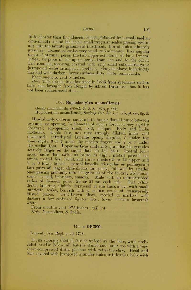 little shorter than the adjacent labials, followed by a small median chin-shield; behind the labials small irregular scales passing gradu- ally into the minnte granules of the throat. Dorsal scales minutely- granular ; abdominal scales very small, subimbricate. Eive angular series of prteanal pores, the two upper extending as long femoral series; 50 pores in the upper series, from one end to the other. Tail rounded, tapering, covered with very small subquadrangular juxtaposed scales arranged in verticils. Greyish above, indistinctly marbled with darker; lower surfaces dirty white, immaculate. From snout to vent 5 inches. Hob. This species was described in 1836 from specimens said to have been brought from Bengal by Alfred Duvaucel; but it has not been rediscovered since. 106. Hoplodactylus anamallensis. Gecko anamallensis, Giinth. P. Z. 8. 1875, p. 226. Hoplodactylus anamallensis, Bouleng. Cat. Liz. i, p. 175, pi, xiv, fig. 2. Head shortly oviform; snout a little longer than distance between eye and ear-opening, 1\ diameter of orbit; forehead very slightly concave ; ear-opening small, oval, obHque. Body and limbs moderate. Digits free, not very strongly dilated, inner well developed : infradigital lamellae openly angular, 5 under the inner digits, 6 or 7 under the median fingers, and 7 or 8 under the median toes. Upper surfaces uniformly granular, the granules scarcely larger on the snout than on the back, Eostral four- sided, more than twice as broad as high; nostril pierced be- tween rostral, first labial, and three nasals; 9 or 10 upper and 7 or 8 lower labials; mental broadly triangular or pentagonal; two pairs of larger chin-shields anteriorly, followed by smaller- ones passing gradually into the granules of the throat; abdominal scales cycloid, imbricate, smooth. Male with an uninterrupted series of femoral pores, 20 or 21 on each side. Tail cylin- drical, tapering, slightly depressed at the base, above with small imbricate scales, beneath with a median series of transversely dilated plates. Grey-brown above, spotted or marbled with darker; a few scattered lighter dots; lower surfaces brownish white. From snout to vent 1*75 inches ; tail 1-4. Hah. Anamallays, S. India. Genus GECKO, Laureuti, Syn. Kept. p. 43,1768. _ Digits strongly dilated, free or webbed at the base, with undi- vided lamella? below, all but the thumb and inner toe with a very short compressed distal phalanx with retractile claw. Head and back covered with juxaposed granular scales or tubercles, belly with
