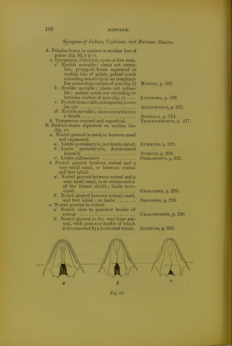 Synopsis of Indian, Cet/lonese, and Burmese Oenera. A. Pal.atine bones in contact on median line of palate (iig. 55, b Sf c\ a. Tympanum, if distinct, more or less sunk. a'. Eyelids movable; claws not retrac- tile; pterygoid bones separated on median line of palate, palatal notch extending anteriorly to an imaginary line connecting centres of eyes (fig. b) Mabuia, p. 183. h'. Eyelids movable; claws not retrac- tile ; palatal notch not extending to between centres of eyes (fig. c) . .., Lygosoma, p. 192. c'. Eyelids immovable, transparent, cover- ing eye Ablephahus, p. 213. d'. Eyehds movable; claws retractile into a sheath Kistella, p. 214, h. Tympanum exposed and superficial .... Tbopidophorus, p. 217 B. Palatine bones separated on median line (fig. a). a. Nostril pierced in nasal, or between nasal and supranasal. a'. Limbs pentadactyle, not denticulated. Eumeces, p. 218. 6'. Limbs pentadactyle, denticulated laterally Scincus, p. 220. c'. Limbs rudimentary Ophiomoimis, p. 221. b. Nostril pierced between rostral and a veiy small nasal, or between rostral and first labial. a'. Nostril pierced between rostral and a very smaU nasal, in an emargination of the former shield; limbs deve- loped Chalcides, p. 223. v. Nostril pierced between rostral, nasal, and first labial; no limbs Sepophis, p. 225, c. Nostril pierced in rostral. a'. Nostril close to posterior border of rostral Chalcidoseps, p. 226. b'. Nostril pierced in the very large ros- tral, with posterior border of which it is connected by a horizontal suture. Acontias, p. 226, Fig. 55.