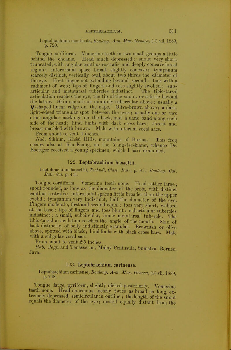 Leptobracliiiiin moiiticola, Bouleng. Ann. Mus. Genova, (2) vii, 1889, p. 720. Tongue cordiform. Yomeriue teeth in two small groups a little behind the choanac. Head much depressed; snout very short, truncated, with angular cantluis rostralis and deeply concave loreul region; interorbilal space broad, slightly concave; tympanum scarcely distinct, vertically oval, about two thirds the diameter of the eye. First linger not extending beyond second ; toes with a rudiment of web; tips of lingers and toes slightly swollen; sub- articular and metatarsal tubercles indistinct. The tibio-tarsal articulation reaches tlie eye, the tip of the snout, or a little beyond the latter. Skin smooth or minutely tubei'cular above; usually a V-shaped linear ridge on the nape. Olive-brown above; a dark, light-edged triangular spot between the eyes ; usually one or two other angular markings on the back, and a dark band along each side of the head; hind limbs with dark crossbars; throat and breast marbled with brown. Male with internal vocal sacs. From snout to vent 4 inches. Hah. Sikhim, Khasi Hills, mountains of Burma. This frog occurs also at Iviu-Kiang, on the Yang-tse-kiang, whence Dr. Boettger received a young specimen, which I have examined. 122. Leptobrachixim hasseltii. Leptobrachiumhasseltii, rA-c7«jff7/, Class. Bnir. p. 81; Bouleno. Cat. Batr. Sal. p. 441. Tongue cordiform. Vomerine teeth none. Head rather large ; snout rounded, as long as the diameter of the orbit, with distinct canthus rostralis ; interorbital space a little broader than the upper eyelid; tympanum very indistinct, half the diameter of the eye. Fingers moderate, first and second equal; toes very short, webbed at the base : tips of fingers and toes blunt; subarifcicular tubercles indistinct; a small, subcircular, inner metatarsal tubercle. The tibio-tarsal articulation reaches the angle of the mouth. Skin of back distinctly, of belly indistinctly granular. Brownish or olive above, spotted with black; hind limbs with black cross bars. Male ^vith a subgular vocal sac. From snout to vent 25 inches. Hah. Pegu and Tenasserim, Malay Peninsula, Sumatra. Borneo. Java. ' ' 123. Leptobrachium carinense. Leptobrachium cariuense, ^ottfew^r. Ann. Mus. Oenova, (2)\-ii. 1889 p. 748. ' Tongue large, pyriform, slightly nicked posteriorly. Vomerine teeth none. Head enormous, nearly twice as broad as long, ex- tremely depressed, semicircular in outline ; the length of the snout equals the diameter of the eye; nostril equally distant from the