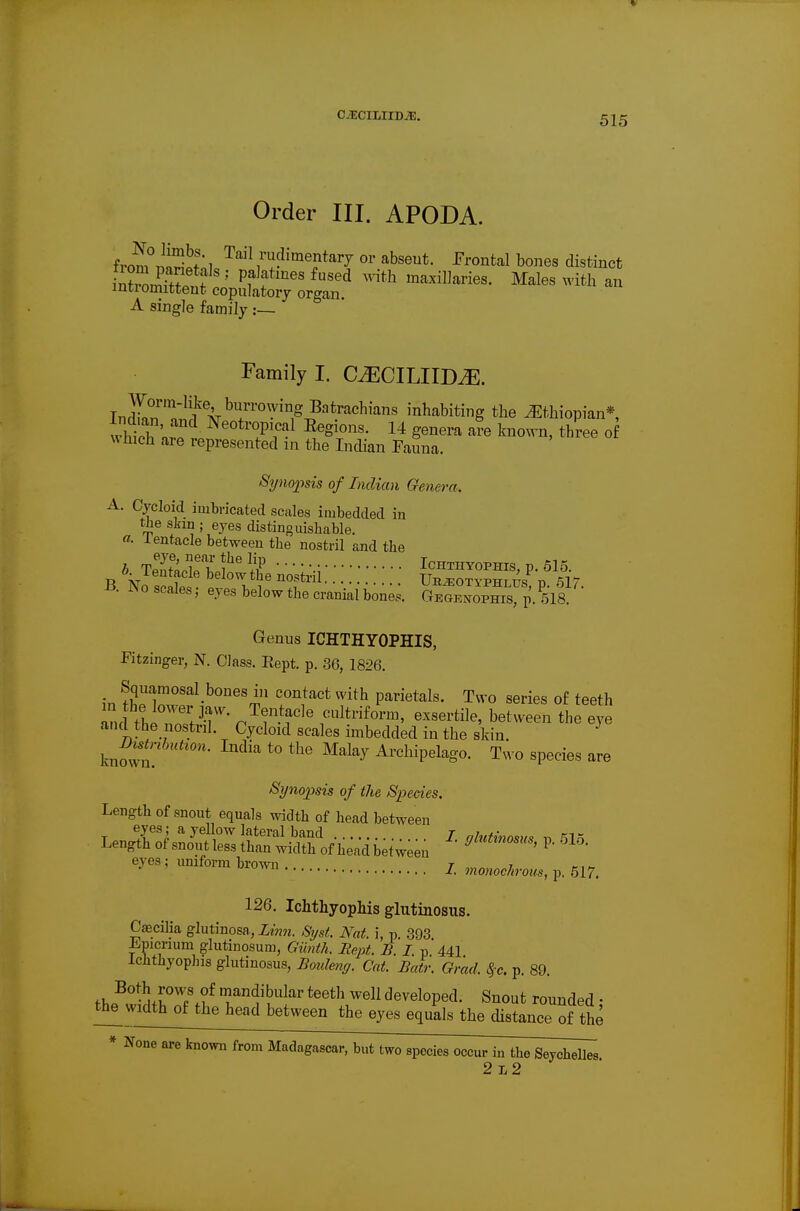 Order III. APODA. fron?m1!«f:i '^^^'^^''^^^^eptary or abseut. Prontal bones distinct A single family Family I. C^CILIID^. Worm-like burrowing Batrachians inhabiting the Ethiopian*, which;.?*^ Neotropical Eegions. 14 genera a?e known, th?ee o which are represented in the Indian Pauna. Synopsis of Indian Genera. A. Cycloid imbricated scales imbedded in the sJjin ; eyes distinguishable. a- lentacle between the nostril and the B No sent, Ub^otyphlus, p. 517. -B. IN 0 scales; eyes below the cranial bones. Gegenophis, p. 518. Genus ICHTHYOPHIS, Fitzinger, N. Class. Eept. p. 36, 1826. SquamosaUones in contact with parietals. Two series of teeth ind thi^'^'f ^m- r^T^r^' oultriform, exsertile, between the eye and the nostril. Cycloid scales imbedded in the skin. ^ knmvn. ' ^^^^^ Archipelago. Two species are Synopsis of the Species. Length of snout equals width of head between T ^y^^i ^ yellow lateral band I. nlutinosits Lengthofsnoutlessthanwidthofheadbetw;en l'''^l'^' eyes; umform brown monoc/>roi^.s, p. 517. 126. Ichthyophis glutlnosus. Caecilia glutinosa, Ztmi. Si/st. Nat. i, p. .393 Lpicrium glutinosum, Giinth. Hept. B. I. p 441 icbthyophis glutinosus, Boulenff. Cat. Batr. Gr'ad. S^e. p. 89. f 1,.^''^ ^^7.?^ mandibular teeth well developed. Snout rounded • tb^ vvidtb of the head between the eyes equals the cUstance of the * None are known from Madagascar, but two species occur in the Seychelles 2l2