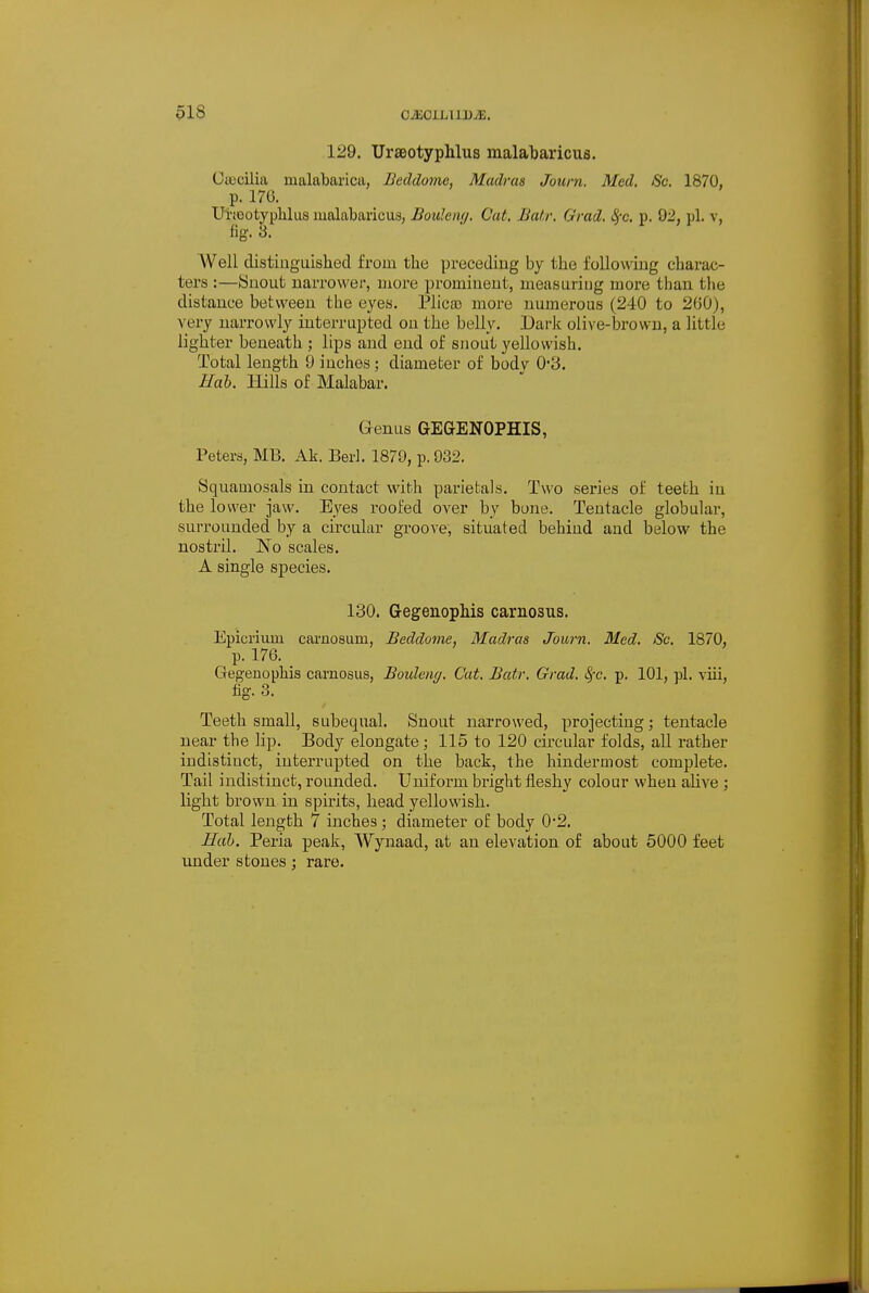 129. UrsBotyphlus malabaricua. Ccccilia malabarica, Beddoinc, Madras Journ. Med. Sc. 1870, p. 176. Urtootyphlus malabaricu3, Bouleng. Cut, Batr. Grad. Sfc, p. 92, pi. v, fig. 3. Well distinguished from the preceding by the following charac- ters :—Snout narrower, more prominent, measuring more than the distance between the eyes. Plica) more numerous (240 to 260), very narrowly interrupted on the belly. Dark olive-browu, a little lighter beneath ; lips and end of snout yellowish. Total length 9 inches; diameter of bodv 0*3. Hah. Hills of Malabar. Genus GEGENOPHIS, Peters, MB. Ak. Berl. 1879, p. 932. Squamosals in contact with pariefcals. Two series of teeth in the lower jaw. Eyes roofed over by bone. Tentacle globular, surrounded by a circular groove, situated behind and below the nostril. No scales. A single species. 130. G-egenophis carnosus. Epicrium caruosum, Beddome, Madras Journ. Med. Sc. 1870, p. 176. Gegenophis carnosus, Bouleiic/. Cat. Batr. Grad. ^-c. p. 101, pi. viii, fig. 3. Teeth small, subequal. Snout narrowed, projecting; tentacle near the lip. Body elongate; 115 to 120 circular folds, all rather indistinct, interrupted on the back, the hindermost complete. Tail indistinct, rounded. Uniform bright fleshy colour when alive ; light brown in spirits, head yellowish. Total length 7 inches; diameter of body 0*2. Hah. Peria peak, Wynaad, at an elevation of about 5000 feet imder stones; rare.