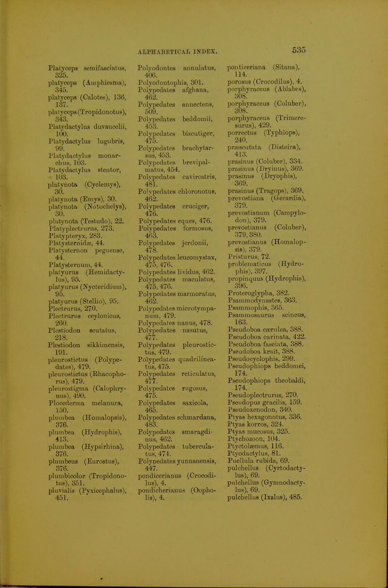 Platyceps semifasciatiis, 325. platyceps (Amphiesfna), 345. platyceps (Calotes), 136, 137. platyceps (Tropidonotus), 343. Platvdactylus duvaucelii, 100. Platydactylus lugubris, 99. Plntj'dactylus monar- ch us, 103. Platydactylus stentor, 103. platvnota (Oyclemys), 30. platynota (Emys), 30. nlatynota (Notochelys), 30. platynota (Testudo), 22. Platvplectrurus, 273. Platypteryx, 283. Platysternidaj, 44. Platysternon peguense, 44. Platysternum, 44. platyurus (Hemidacty- lus), 95. platyurus (Nycteridiuin), 95. platyurus (Stellio), 95. Plectrurusj 270. Plectrurus ceylonicus, 260. Plestiodon scutatus, 218. Plestiodon sikkiinensis, 191. pleurostictus (Polype- dates), 479. pleurostictus (Rhaeopbo- rus), 479. pleurostigma (Calopbry- mis), 490. Plocederma melanura, 150. pluuibea (Homalopsis), 376. plumbea (Hydropbis), 413. plumbea (Hypsirbina), 376. plunibeus (Eurostus), 376. plunibicolor (Tropidono- tus), 351. pluvialis (Pyxicephalus), 451. ALPHABETICAL INDEX. Polyodontes annulatus, 406. Polyodoutopbis, 301. Polypedates afgbana, 462. Polypedates annectens, 509. Polypedates beddomii, 453. Polypedates biseutiger, 475. Polypedates brachytar- sus, 453. Polypedates brevipal- matus, 454. Polypedates cavirostris, 481. Polypedates chloronotus, 462. Polypedates cruciger, 476. Polypedates eques, 476. Polypedates formosus, 4H3. Polypedates jerdonii, 478. Polypedates leucomystax, 475,476. Polypedates liyidus, 462. Polypedates maculatus, 475,476. Polypedates marmoratus, 462. Polypedates microtympa- num, 479. Polypedates nanus, 478. Polypedates nasutus, 477. Polypedates pleurostic- tus, 479. Polypedates quadrilinea- tus, 475. Polypedates reticulatus, 477. Polypedates rugosus, 475. Polypedates saxicola, 465. Polypedates scbmardana, 483. Polypedates smaragdi- nus, 462. Polypedates tubercula- tus, 474. Polypedates yunnanensis, 447. pondicerianus (Crocodi- lus), 4. pondicheriauus (Oopbo- lis), 4. 535 ponticeriana (Sitana), 114. porosus (Crocodilus), 4. porpliyraceus (Ablabcs), 308. porpbyraceus (Coluber), 308. porpbyraceus (Trimere- Burus), 429. porrectus (Typblops), 240. prajscutata (Disteira), 413. prasinus (Coluber), 334. prasinus (Dryiuus), 369. prasinus (Dryophis), 369. prasinus (Tragops), 369. prevostiana (Qerardia), 379. preyostianum (Campylo- don), 379. prevostianus (Coluber), 379, 380. prevostianus (Homalop- sis), 379. Pristurus, 72. probleraaticus (Hydro- phis), 397. propinquus (Hydropbis), 396. Proteroglypba, 382. Psammodynastes, 363. Psararaophis, 365. Psammosaurus scincus, 163. Pseudoboa cserulea, 388. Pseudoboa carinata, 422. Pseudoboa fasciata, 388. Pseudoboa krait, 388. Pseudocyclopbis, 299. Pseudopbiops beddomei, 174. Pseudopbiops tbeobaldi, 174. Pseudoplectrurus, 270. Pseiidopus gracilis, 159. Pseudoxenodon, 340. Ptyas hexagonotus, 336. Ptyas korros, 324. Ptyas mucosus, 325. Ptycbozoon, 104. Ptyctolfemus, 116. Ptyodactylus, 81. Puellula rubida, 69. pulchellus (Cyrtodacty- lus), 69. pulcbellus (Gymnodacty- lus), 69. pulcbellus (Ixalus), 485.