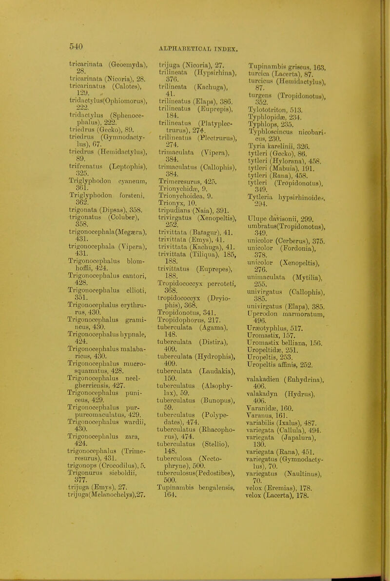 tricarinata (Geoeravcla), 28. ti-iaarinata (Nicoria), 28. tricarinatiis (Calotcs), 12'J. tridactylus(Ophiomoius), 222. tricLiclyliis (Splienoce- phaliis), 222. t.i-iedrns (Gecko), S',». t,r i od rus (Gym ii odanly- liis), 07. ti'iedrus (Heinidacfcyliis), 89. trifrenatns (Leptophis), 325. Triglyphodon cyaneam, 361. Triglyphodon Im-steni, 362. trigonata (Dipsas), 358. trigonatua (Coluber), 358. tngonocephala(Megaera), 431. trigonocephala (Vipera), 431. Trigonoceplialus blom- hoffii, 424. Trigonocephalus cantori, 428. Trigonocephalus ellioti, 351. Trigonocephalus erythru- rus, 430. Trigonocephalus grami- neus, 430. Trigonocephalus hypnale, 424. Trigonocephalus malaba- ricus, 430. Trigonocephalus mncro- squamatus, 428. Trigonocephalus neel- gherrieusis, 427. Trigonocephalus jDuni- ceus, 429. Trigonocephalus pur- pureoiuaculatua, 429. Trigonocephalus wardii, 430. Trigonocephalus zara, 424. trigonocephalus (Trime- resurus), 431. trigonops (Crocodilus), 5. Trigonuriis sieboldii, 377. trijiiga (Emys), 27. trij uga (Mehin ochelys),27. I rijuga (Nicoria), 27. trilinoata (Ilypsirliina), 37(i. trilineata (Kachuga), 41. trilineatus (Elaps), 380. trilincafcus (Euprepis), 184. trilineatus (Platyplec- trurus), 274. trilineatus (Ploclrurus), 274. trimaeulata (Vipora), 384. trimaculatus (Callophis), 384. Trimeresurus, 425. Trionychidn?, 9. Trionychoidea, 9. Trionyx, 10. tripudians (Naia), 391. trivirgatus (Xenopeltis), 252. trivittata (Batagur), 41. trivittala (Emys), 41. trivittata (Kachuga), 41. trivittata (Tilinua), 185, 188. trivittatus (Euprepes), 188. Tropidococcyx iDerroteti, 368. tropidococcyx (Di-j'io- phis), 368. Tropidouotus, 341. Tropidophorus, 217. tuberculata (Agama), 148. tuberculata (Distira), 409. tuberculata (Hydrophis), 409. tuberculata (Laudalda), 150. tuberculatus (Alsophy- Inx), 59. tuberculatus (Bunopus), 59. tuberculatus (Polype- dates), 474. tuberculatus (Ehacopho- rus), 474. tuberculatus (Stellio), 148. tuberculosa (Necto- pliryne), 500. tuberculosus(Pedostibes), 500. Tupinanibis bengalensis, 164. Tupinambis griseus, 163. turcica (Lacerta), 87. turcicus (ireuiidactylus). 87. turgens (Tropidonotus), Tylototriton, 513. Typhlopidas, 234. Typhlops, 235. Typhloscincus nicobari- cus, 230. Tyria karolinii, 326. tytlcri (Gecko), 86. tytleri (Hylorana), 4.58. tytleri (Mabuia), 191. tytleri (Eana), 4.58. tytleri (Tropidonotus), 349. Tytleria hypsirhinoide..!. 294. Ulupe davisonii, 299. nmbratus(Tropidonotus), .349. unicolor (Cerberus), 375. unicolor (Fordonia), 378. unicolor (Xenopeltis), 276. uniniacidata (Mytilia), 255. nnivirgatus (Callophis), 385. univirgatus (Elaps), 385. Uperodon marmoratum, 496. TJroeotyphlus, 517. Uroraastix, 157. Uroniastix belliana, 156. Uropeltidae, 251. TJropeltis, 253. TJropeltis affinis, 252. valakadieu (Enhydrina), 406. ^ valakadyn (Hydru.s), 406. Varanidaj, 160. Varanus, 161. variabihs (Ixalus), 487. variegata (Callula), 494. variegata (Japalura), 130. variegata (Eana), 451. variegatus (Gymnodacty- lus), 70. variegatus (Naultinus), 70. velox (Eremias), 178. velox (Lacerta), 178.