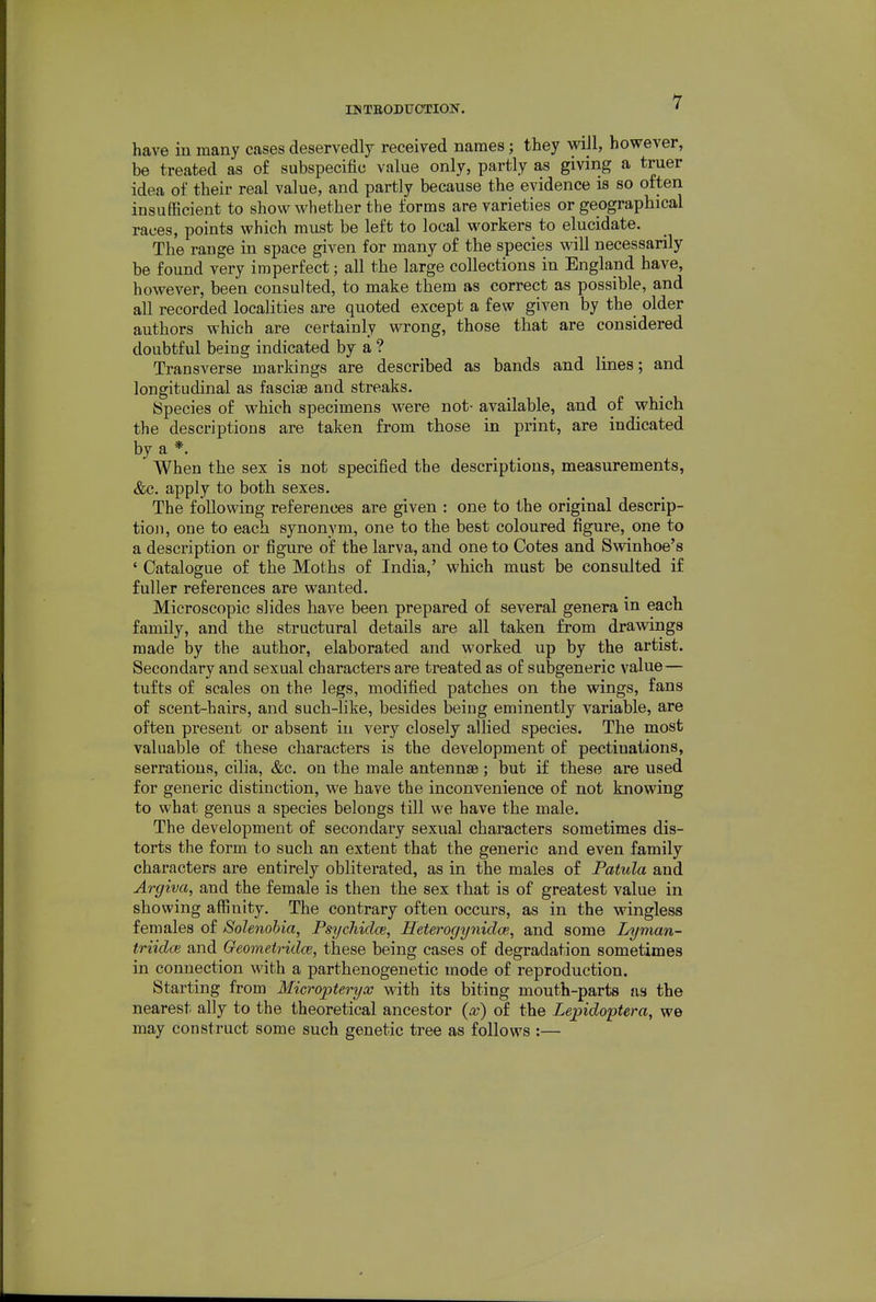 have in many cases deservedly received names; they wiJl, however, be treated as of subspecific value only, partly as giving a truer idea oi' their real value, and partly because the evidence is so often insufficient to show whether the forms are varieties or geographical races, points which must be left to local workers to elucidate. The range in space given for many of the species will necessarily be found very imperfect; all the large collections in England have, however, been consulted, to make them as correct as possible, and all recorded localities are quoted except a few given by the older authors which are certainly wrong, those that are considered doubtful being indicated by a ? Transverse markings are described as bands and lines; and longitudinal as fasciae and streaks. Species of which specimens were not- available, and of which the descriptions are taken from those in print, are indicated by a *.  When the sex is not specified the descriptions, measurements, &c. apply to both sexes. The following references are given : one to the original descrip- tion, one to each synonym, one to the best coloured figure, one to a description or figure of the larva, and one to Cotes and Swinhoe's ' Catalogue of the Moths of India,' which must be consulted if fuller references are wanted. Microscopic slides have been prepared of several genera in each family, and the structural details are all taken from drawings made by the author, elaborated and worked up by the artist. Secondary and sexual characters are treated as of subgeneric value— tufts of scales on the legs, modified patches on the wings, fans of scent-hairs, and such-like, besides being eminently variable, are often present or absent in very closely allied species. The most valuable of these characters is the development of pectinations, serrations, cilia, &c. on the male antennae; but if these are used for generic distinction, we have the inconvenience of not knowing to what genus a species belongs till we have the male. The development of secondary sexual characters sometimes dis- torts the form to such an extent that the generic and even family characters are entirely obliterated, as in the males of Patula and Argiva, and the female is then the sex that is of greatest value in showing affinity. The contrary often occurs, as in the wingless females of Solenobia, Psychidce, Heterogynidce, and some Lyman- triidce and Geometridce, these being cases of degradation sometimes in connection with a parthenogenetic mode of reproduction. Starting from Micropteryx with its biting mouth-parts us the nearest ally to the theoretical ancestor {x) of the Lepidoptera, we may construct some such genetic tree as follows :—