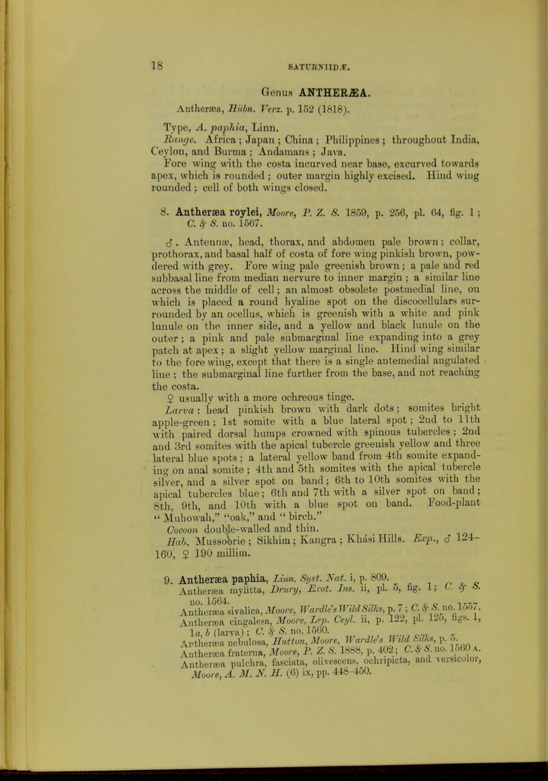 Genus ANTHERiEA. Antherasa, Hiibn. Verz. p. 152 (1818). Type, A. pap?iia, Linn. Range. Africa ; Japan ; China ; Philippines ; throughout India, Ceylon, and Burma; Andamans ; Java. Fore wing with the costa incurved near base, excurved towards apex, which is rounded ; outer margin highly excised. Hind wiug rounded; cell of both wings closed. 8. Antherjea roylei, Moore, P. Z. S. 1859, p. 256, pi. 64, fig. 1; C. ^ S. no. 1567. (5 . Antennae, head, thorax, and abdomen pale brown; collar, prothorax, and basal half of costa of fore wing pinkish brown, pow- dered with grey. Tore wing pale greenish brown; a pale and red subbasal line from median uervure to inner margin ; a similar line across the middle of cell; an almost obsolete postmedial line, on which is placed a round hyaline spot on the discocellulars sur- rounded by an ocellus, which is greenish with a white and pink lunule on the inner side, and a yellow and black lunule on the outer ; a piuk and pale submarginal line expanding into a grey patch at apex; a slight yellow marginal line. Hind wing similar to the fore wing, except that there is a single antemedial angulated line ; the submarginal line further from the base, and not reaching the costa. 2 usually with a more ochreous tinge. Larva : head pinkish brown with dark dots; somites bright apple-green ; 1st somite with a blue lateral spot; 2ud to 11 th with paired dorsal humps crowned with spinous tubercles : 2nd and 3rd somites with the apical tubercle greenish yellow and three lateral blue spots; a lateral yellow band from 4th somite expand- ing on anal somite ; 4th and 5th somites with the apical tubercle silver, and a silver spot on band; 6th to 10th somites with the apical tubercles blue; 6th and 7th with a silver spot on band; 8th, 9th, and 10th with a blue spot on band. Food-plant  Muhowah, oak, and  birch. Cocoon double-walled and thin. Hah. Mussobrie ; Sikhim; Kangra ; Khasi Hills. ExiJ., J 124- 160, $ 190 millim. 9. Anthersea paphia, Linn. Syst. Nat. i, p. 809, ^ o « Anthersea mylitta, Drury, Exot. Ins. u, pi. 5, fig. 1; C. ^- AntherL sivalica, Moore, WardUsWildSillcs, p. 7; C. ^ -S. no 1557. Anther^a cingalesa, Moore, Lep. Ceyl. u, p. 122, pi. 12o, hgs. 1, la b (larva); C. ^ S. no. 1560. Artheraja nebiilosa, Button, Moore, Wardle's Wild Silks, p. 5. tnther^Ba iv^i^rn^, Moore, P Z S. 1888, p 402; C. ^- S no. Io60 a. Anther^a pulchra, fasciata, olivescens, ochripicta, and versicolor, Moore, A. M. N. H. (6) ix, pp. 448-450.