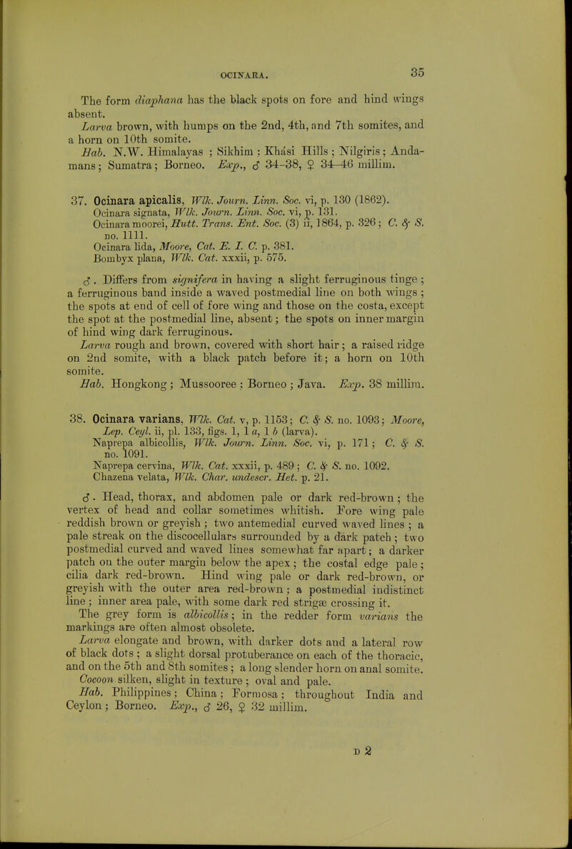 OOINARA. The form diaphana has the black spots on fore and hind wings absent. Larva brown, with humps on the 2nd, 4th, and 7th somites, and a horn on 10th somite. Bab. N.W. Himalayas ; Sikhim : Khasi Hills ; Nilgiris; Anda- mans; Sumatra; Borneo. Exp., S 34-38, $ 34-46 millim. 37. Ocinara apicalis, Wlh. Joum. Linn. Soc. vi, p. 130 (1862). Ocinara signata, Wlk. Journ. Linn. Soc. vi, p. 131. Ocinara moorei,m«. Trans. Ent. Soc. (3) h, 1864, p. 326; C. Sf S. no. 1111. Ocinara lida, Moore, Cat E. I. C. p. 381. Bombyx plana, Wlk. Cat. xxxii, p. 575. . Differs from signifera in having a slight ferruginous tiuge ; a ferruginous band inside a waved postmedial line on both wings ; the spots at end of cell of fore wing and those on the costa, except the spot at the postmedial line, absent; the spots on inner margin of hind wing dark ferruginous. Larva rough and brown, covered with short hair; a raised ridge on 2nd somite, with a black patch before it; a horn on 10th somite. Bab. Hongkong; Mussooree .: Borneo ; Java. Exp. 38 millira. 38. Ocinara varians, TT^/c. Cat. v, p. 1153; C. ^- S. no. 1093; Moore, Lep. Ceyl. ii, pi. 133, figs. \,\a,lb (larva). Naprepa albicollis, Wlk. Journ. Linn. Soc. vi, p. 171; C. 4 /S. no. 1091. Naprepa cervina, Wlk. Cat. xxxii, p. 489 ; C. ^ S. no. 1092. Chazena velata, Wlk. Char, undescr. Bet. p. 21. S. Head, thorax, and abdomen pale or dark red-brown; the vertex of head and collar sometimes whitish. Fore wing pale reddish brown or greyish; two antemedial curved waved lines ; a pale streak on the discocellulars surrounded by a dark patch ; two postmedial curved and waved lines somewhat far apart; a darker patch on the outer margin below the apex ; the costal edge pale ; ciha dark red-brown. Hind wing pale or dark red-brown, or greyish with the outer area red-brown; a postmedial indistinct line; inner area pale, with some dark red strigte crossing it. The grey form is albicollis; in the redder form varians the markings are often almost obsolete. Larva elongate and brown, with darker dots and a lateral row of black dots ; a slight dorsal protuberance on each of the thoracic, and on the 5th and 8th somites; a long slender horn on anal somite. Cocoon silken, shght in texture ; oval and pale. Bab. Philippines; China; Formosa; throughout India and Ceylon; Borneo. Exp., 26, § 32 millim. D 2