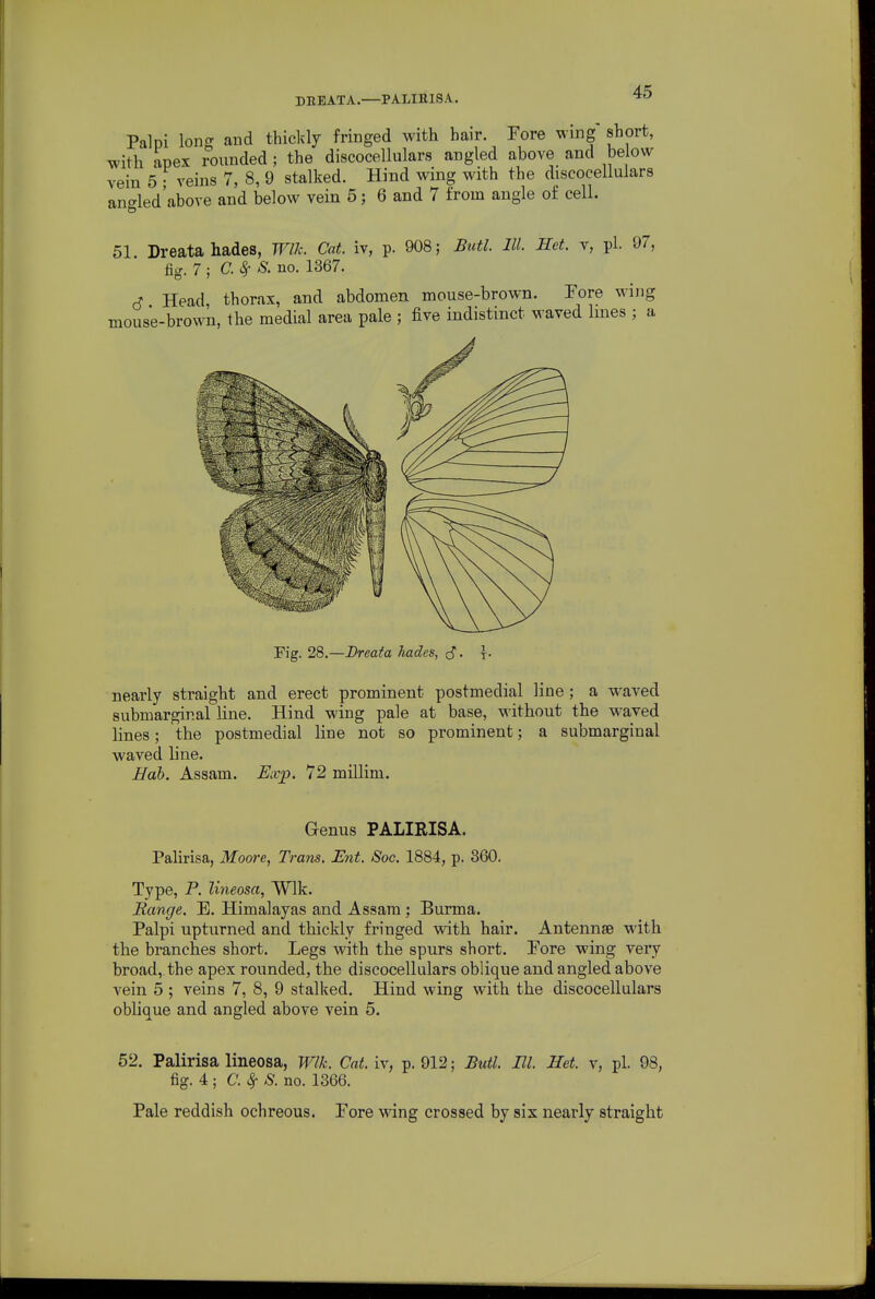 Palpi long and thickly fringed with hair. Fore wing short, with apex rounded; the discocellulars angled above and be ow vein 5 • veins 7, 8, 9 stalked. Hind wing with the discocellulars ancrled'above and below vein 5; 6 and 7 from angle of cell. 51 Dreata hades, WUc. Cat. iv, p. 908; ButL III. Het. v, pi. 97, fi^. 7 ; C.^ S. no. 1367. A Head thorax, and abdomen mouse-brown. Eore wijig mouse-brown, the medial area pale ; five indistinct waved Imes ; a Fig. 28.—Dreata hades, . \. nearly straight and erect prominent postmedial line; a waved submargir.al line. Hind wing pale at base, without the waved hues; the postmedial line not so prominent; a submarginal waved line. Eab. Assam. Exp. 72 millim. Genus PALIRISA. Palirisa, Moore, Trans. Ent. Sac. 1884, p. 860. Type, P. lineosa, Wlk. Range. E. Himalayas and Assam; Burma. Palpi upturned and thickly fringed with hair. Antennae with the branches short. Legs with the spurs short. Fore wing very broad, the apex rounded, the discocellulars oblique and angled above vein 5 ; veins 7, 8, 9 stalked. Hind wing with the discocellulars oblique and angled above vein 5. 52. Palirisa lineosa, Wlk. Cat. iv, p. 912; Butl. III. Het. v, pi. 98, fig. 4 ; C.^S. no. 1366. Pale reddish ochreous. Fore wing crossed by six nearly straight