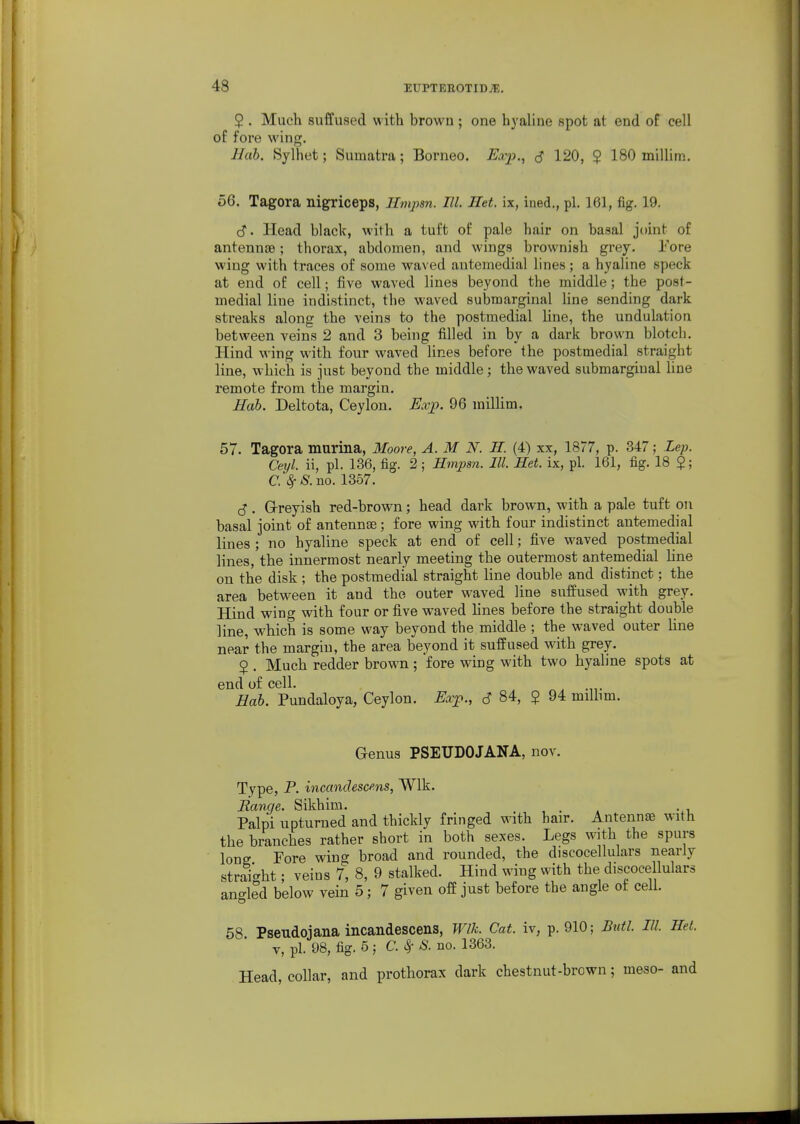 2 . Much suffused with brown ; one hyaline spot at end of cell of fore wing. Hab. Sylhet; Sumatra; Borneo. Exj)., S 120, $ 180 millim. 56. Tagora nigriceps, Ilmpan. El. Het. ix, ined., pi. 161, fig, 19. d*. Head black, with a tuft of pale hair on basal joint of antennae; thorax, abdomen, and wings brownish grey. Fore wing with traces of some waved antemedial lines ; a hyaline speck at end of cell; five waved lines beyond the middle; the post- medial line indistinct, the w^aved submarginal Hue sending dark streaks along the veins to the postmedial line, the undulation between veins 2 and 3 being filled in by a dark brown blotch. Hind wing with four waved lines before the postmedial straight line, which is just beyond the middle; the waved submarginal line remote from the margin. Hah. Deltota, Ceylon. Exp. 96 millim. 57. Tagora murina, Moore, A. M N. H. (4) xx, 1877, p. 347; Lep. Ceyl. ii, pi. 136, fig. 2 ; Hmpsn. III. Ret. ix, pi. 161, fig. 18 $; a 8f8.no. 1357. (S . G-reyish red-brown; head dark brown, with a pale tuft on basal joint of antennae; fore wing with four indistinct antemedial lines ; no hyaline speck at end of cell; five waved postmedial lines, the innermost nearly meeting the outermost antemedial line on the disk ; the postmedial straight line double and distinct; the area between it and the outer waved line suffused with grey. Hind wing with four or fi^ve waved lines before the straight double line, which is some way beyond the middle ; the waved outer line near the margin, the area beyond it suffused with grey. $ . Much redder brown ; fore wing with two hyaline spots at end of cell. Hob. Pundaloya, Ceylon. Exp., 6 84, $ 94 milbm. Genus PSEUDOJANA, nov. Type, P. incandescms, Wlk. Range. Sikhim. , . . -.i. Palpi upturned and thickly fringed with hair. Antennee with the branches rather short in both sexes. Legs with the spurs long Fore wing broad and rounded, the discocellulars nearly straight; veins 7, 8, 9 stalked. Hind wing with the discocellulars angkd below vein 5; 7 given off just before the angle of cell. 68 Pseudojana incandescens, Wlk. Cat. iv, p. 910; But I. III. Het. V, pi. 98, fig. 5; C. ^- S. no. 1363. Head, collar, and prothorax dark chestnut-brown; meso- and