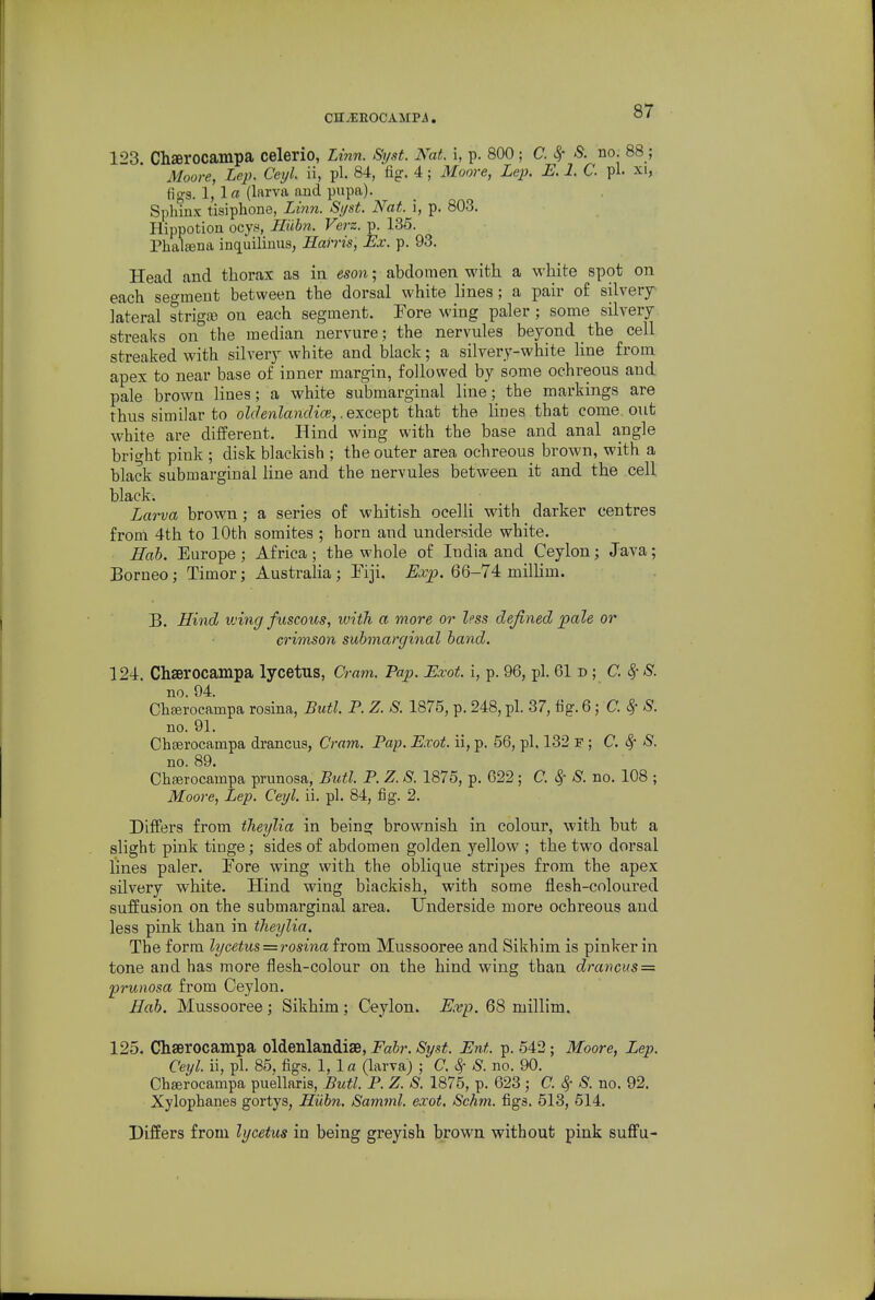 Cir.EEO0AMP4. 123 ChJBrocampa celerio, Linn. Syst. Nat. i, p. 800 ; C. 8f S. no. 88 ; Moore, Lep. Ceyl. ii, pi. 84, fig. 4; Moore, Lep. E. 1. C. pi. xi, figs. 1, 1« (larva and pupa). Sphinx tisiphone, Li7in. Si/st. Nat. i, p. 803. Hippotion ocy.s, Iliibn. Verz. p. 135. Phal^na inquilinus, Harris, Ex. p. 93. Head and thorax as in eson; abdomen with a white spot on each segment between the dorsal white lines ; a pair of silvery lateral strigiB on each segment. Fore wing paler; some silvery streaks on the median nervure; the nervules beyond the cell streaked with silvery white and black; a silvery-white line from apex to near base of inner margin, followed by some ochreous and pale brown lines; a white submarginal line; the markings are thus similar to oldenlandice,. except that the lines that come out white are different. Hind wing with the base and anal angle bright pink ; disk blackish ; the outer area ochreous brown, with a black submarginal line and the nervules between it and the cell black. Larva brown; a series of whitish ocelli with darker centres from 4th to 10th somites ; horn and underside white. ffab. Europe; Africa; the whole of India and Ceylon; Java; Borneo; Timor; Australia; Eiji. ^.t^?. 66-74 millim. B. Hind wing fuscous, with a more or less defined jpale or crimson submarginal hand. 124. Chserocampa lycetus. Cram. Pap. Exot. i, p. 96, pi. 61 n; C. Sf S. no. 94. Chgerocampa rosina, Butl. P. Z. 8. 1875, p. 248, pi. 37, tig. 6 ; C. ^ ^. no. 91. Chserocampa drancus, C'ra?n. Pap. Exot. ii, p. 56, pi. 132 F ; C. ^ S. no. 89. ChfBrocampa prunosa, Butl P. Z. S. 1875, p. 622 ; C. Sf S. no. 108 ; Moore, Lep. Ceyl. ii. pi. 84, fig. 2. Differs from theylia in being brownish in colour, with but a slight pink tinge; sides of abdomen golden yellow ; the two dorsal lines paler. Fore wing with the oblique stripes from the apex silvery white. Hind wing blackish, with some flesh-coloured suffusion on the submarginal area. Underside more ochreous and less pink than in theylia. The form lycetus=rosinaivom. Mussooree and Sikhim is pinker in tone and has more flesh-colour on the hind wing than drancus = prunosa from Ceylon. Hab. Mussooree; Sikhim ; Ceylon. Exp. 68 millim. 125. Chserocampa oldenlandise, Fabr. Stjst. Ent. p. 542; Moore, Lep. Ceyl. ii, pi. 85, figs. 1, 1 a (larva) ; C. ^ S. no. 90. Chaerocampa puellaris, Butl. P. Z. S. 1875, p. 623 ; C. ^ S. no, 92. Xylophanes gortys, Hiibn. Samml. exot, Schm. figs. 513, 514. Differs from lycetus in being greyish brown without pink suffu-