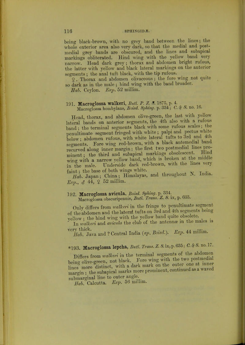 being black-brown, with no grey baud between the hnes; the whole exterior area also very dark, so that the medial and post- medial grey bands are obscured, and the lines and subapical markings obliterated. Hind wing with the yellow band very narrow. Head dark grey; thorax and abdomen bright rufous, the latter with yellow and black lateral markings on the anterior segments ; the anal tuft black, with the tip rufous. 2 . Thorax and abdomen olivaceous; the fore wing not quite so dark as in the male ; hind wing with the band broader. Hah. Ceylon. Exp. 52 millim. 191. Macroglossa walkeri, Butl. P. Z. S. 1875, p. 4. Macroglossa bombylans, Boisd. Sphing. p. 334; C. 8f 8. no. 16. Head, thorax, and abdomen olive-green, the last with yellow lateral bands on anterior segments, the 4th also with a rufous band • the terminal segments black wdth some rufous scales; the penultimate segment fringed with white ; palpi and pectus white below; abdomen rufous, with white lateral tufts to 3rd and 4th segments. Eore wing red-brown, with a black antemedial band recurved along inner margin; the first two postmedial hnes pro- minent : the third and subapical markings obsolescent, liincl wine with a narrow yellow band, which is broken at the middle in the male. Underside dark red-brown, with the lines very faint; the base of both wings white. ^ a- t ;i- Hah. Japan; China; Himalayas, and throughout ^. India. E(cp., 6 44, $ 52 millim. 192. Macroglossa avicula, Boisd. Sphing. P-334. Macroglossa obscuripennis, Butl. Trans. Z. 8. ix, p. b66. Only differs from walkeri in the fringe to penultimate segment of the abdomen and the lateral tufts on 3rd and 4th segments being yellow : the hind wing with the yellow band quite obsolete. _ In imlheH and avicida the club of the antennae m the males is Java and ? Central India (op. Boisd.). Exp. 44 millim. *193. Macroglossa lepcha, Butl. Trans. Z. 8 ix, p. 635; C. <^ no. 17. Differs from walUn in the terminal segments of the abdomen beinf olTve-green, not black. Fore wing with the two postmedial fines more ^distinct, with a dark mark on the outer one at inner margi^rtbe subapical marks more prominent, continued as a waved submarginal line to outer angle. Hah. Calcutta. Exf. 56 millim.